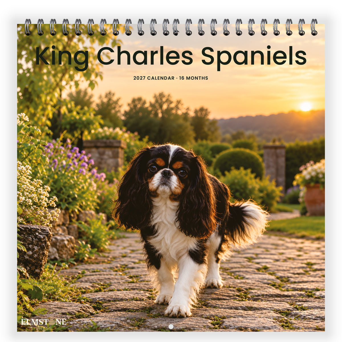 King_Charles_Spaniels_-_649310202881_-_01-front-cover-white.jpg