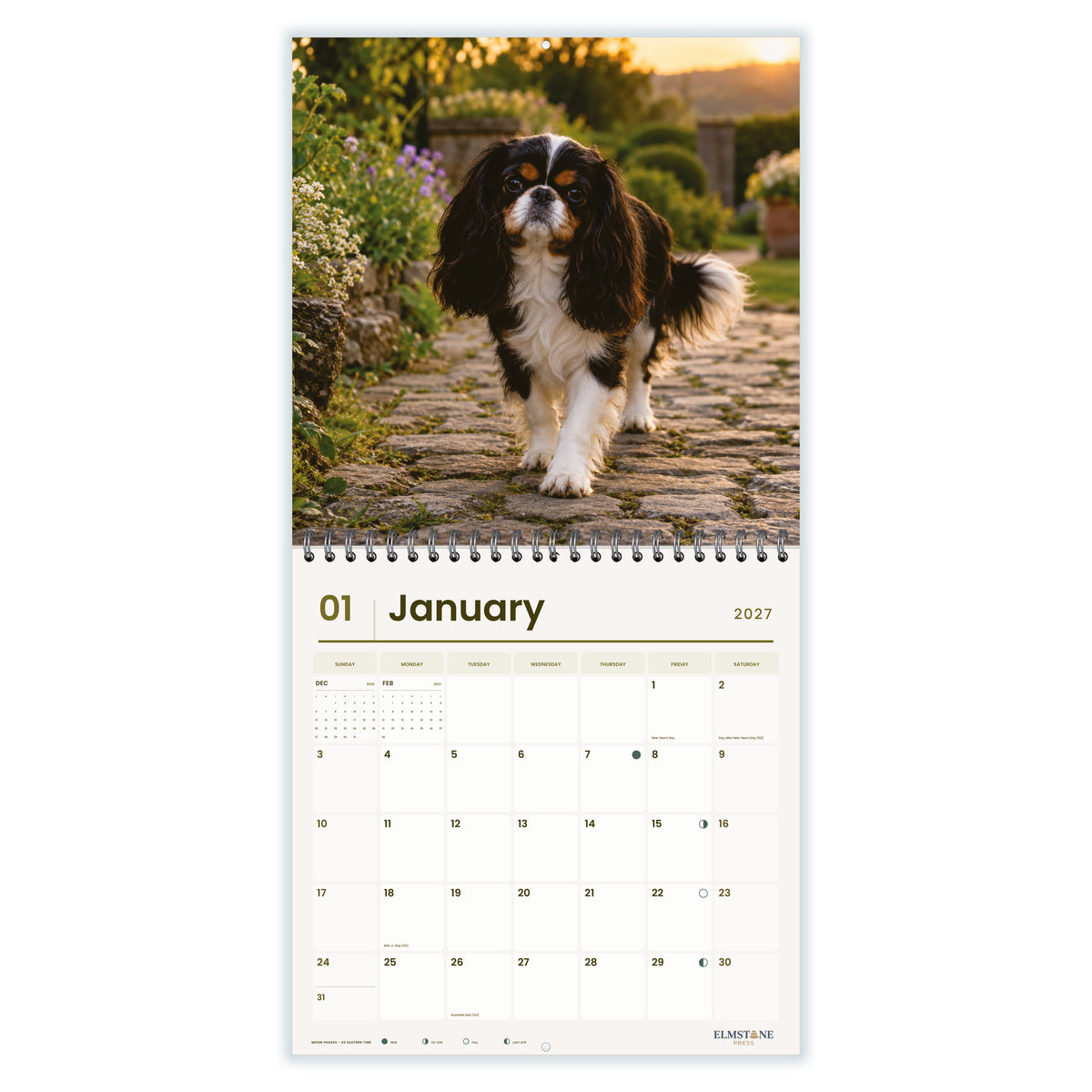 King_Charles_Spaniels_-_649310202881_-_02-january-open-white.jpg