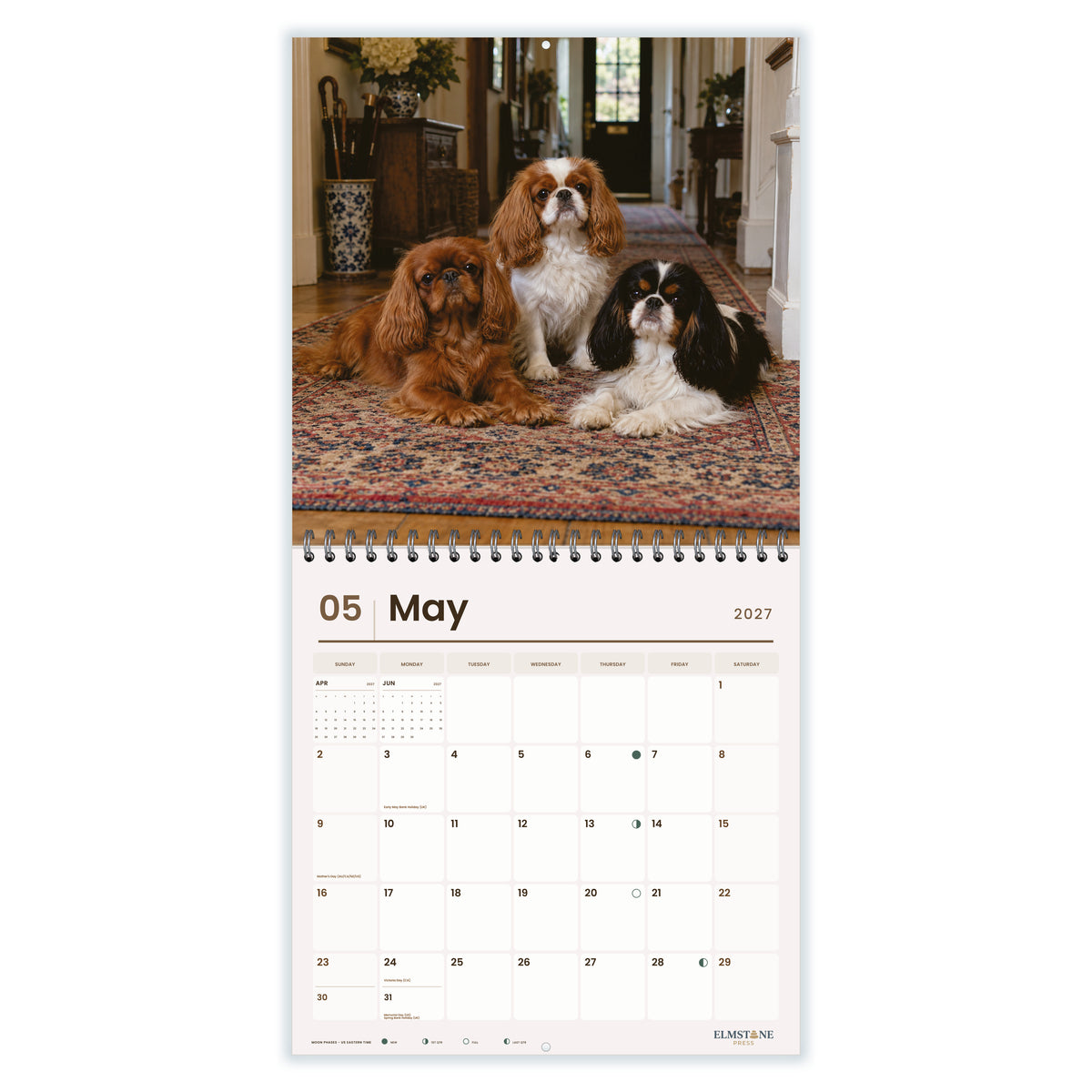 King_Charles_Spaniels_-_649310202881_-_03-may-open-white.jpg