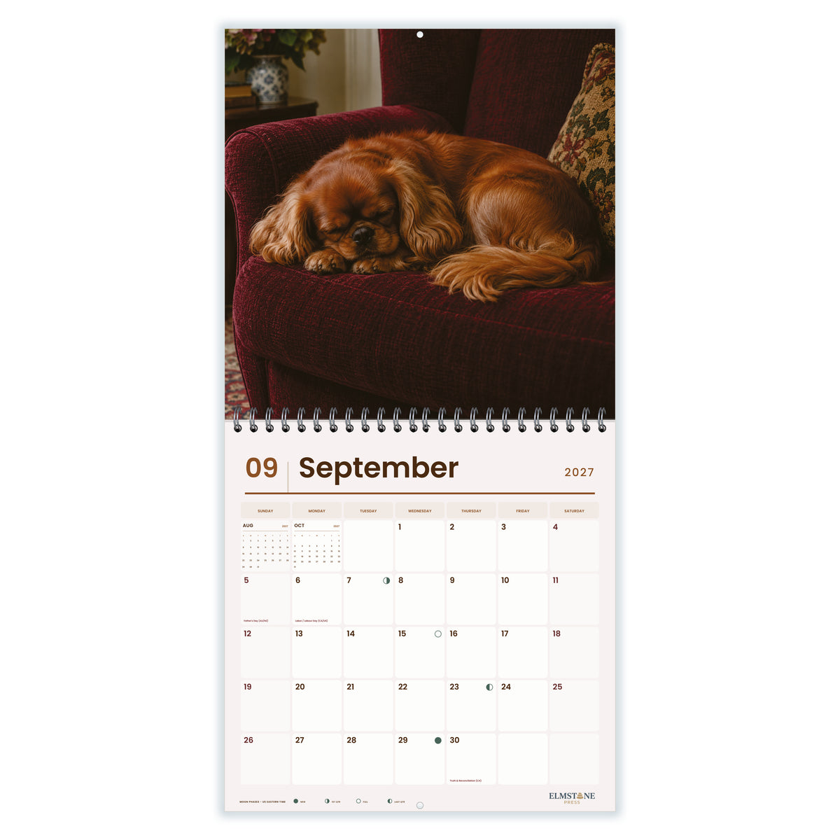 King_Charles_Spaniels_-_649310202881_-_04-september-open-white.jpg