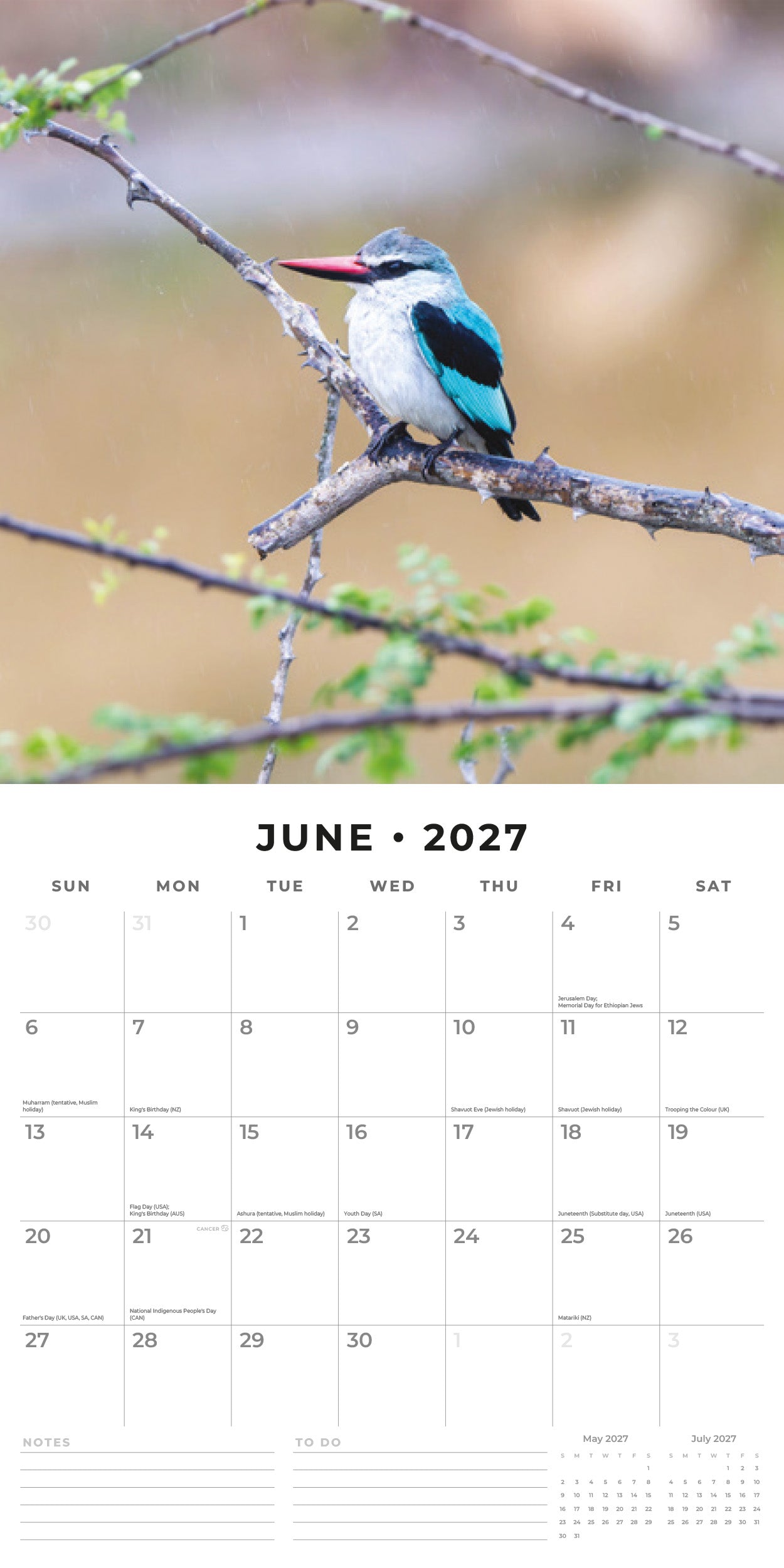 2027 Kingfishers - Square Wall Calendar