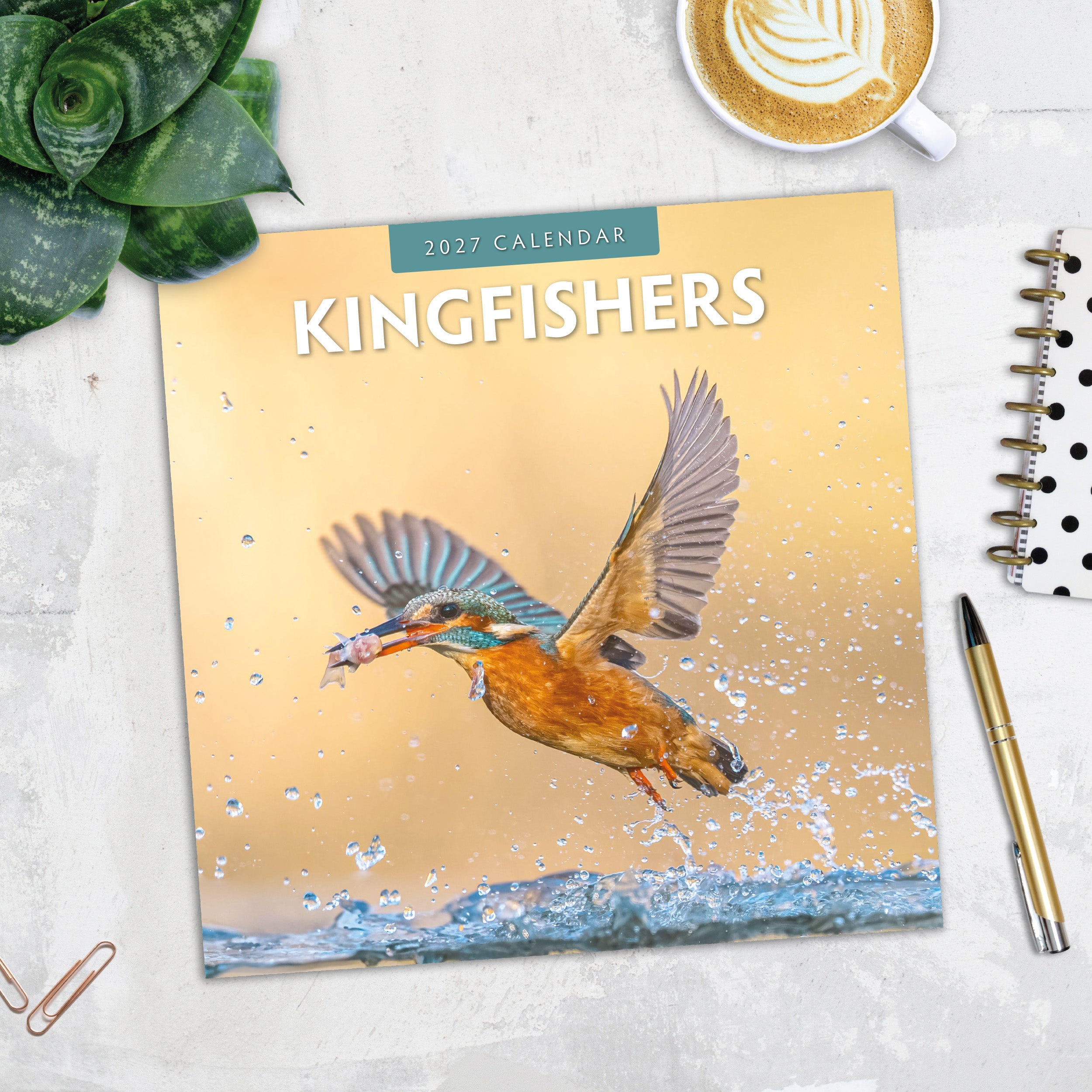 2027 Kingfishers - Square Wall Calendar