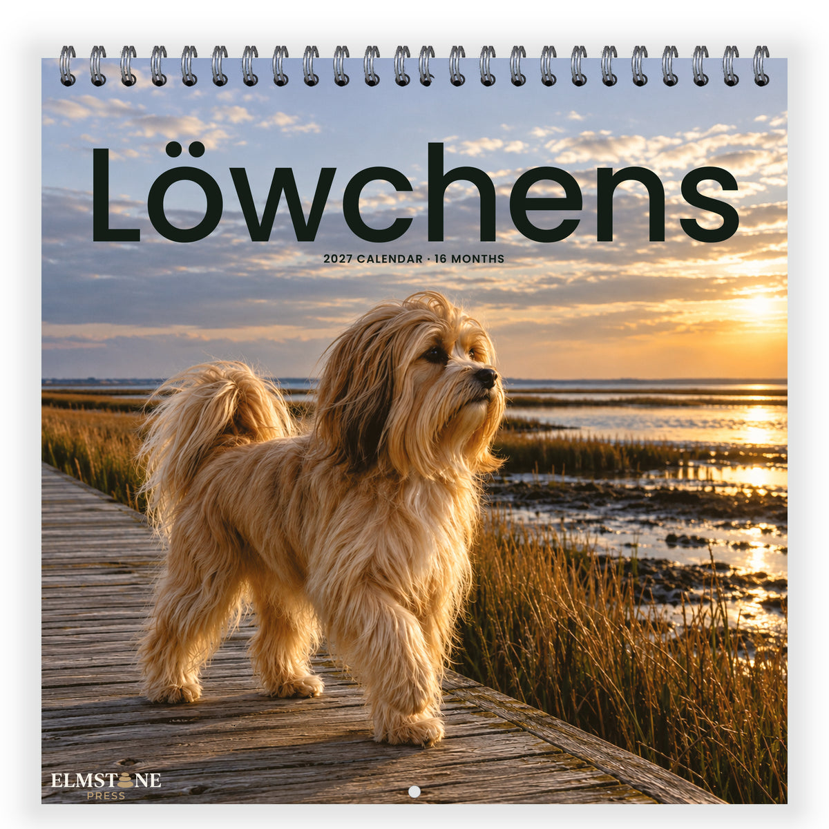 L_wchens_-_649310203406_-_01-front-cover-white.jpg