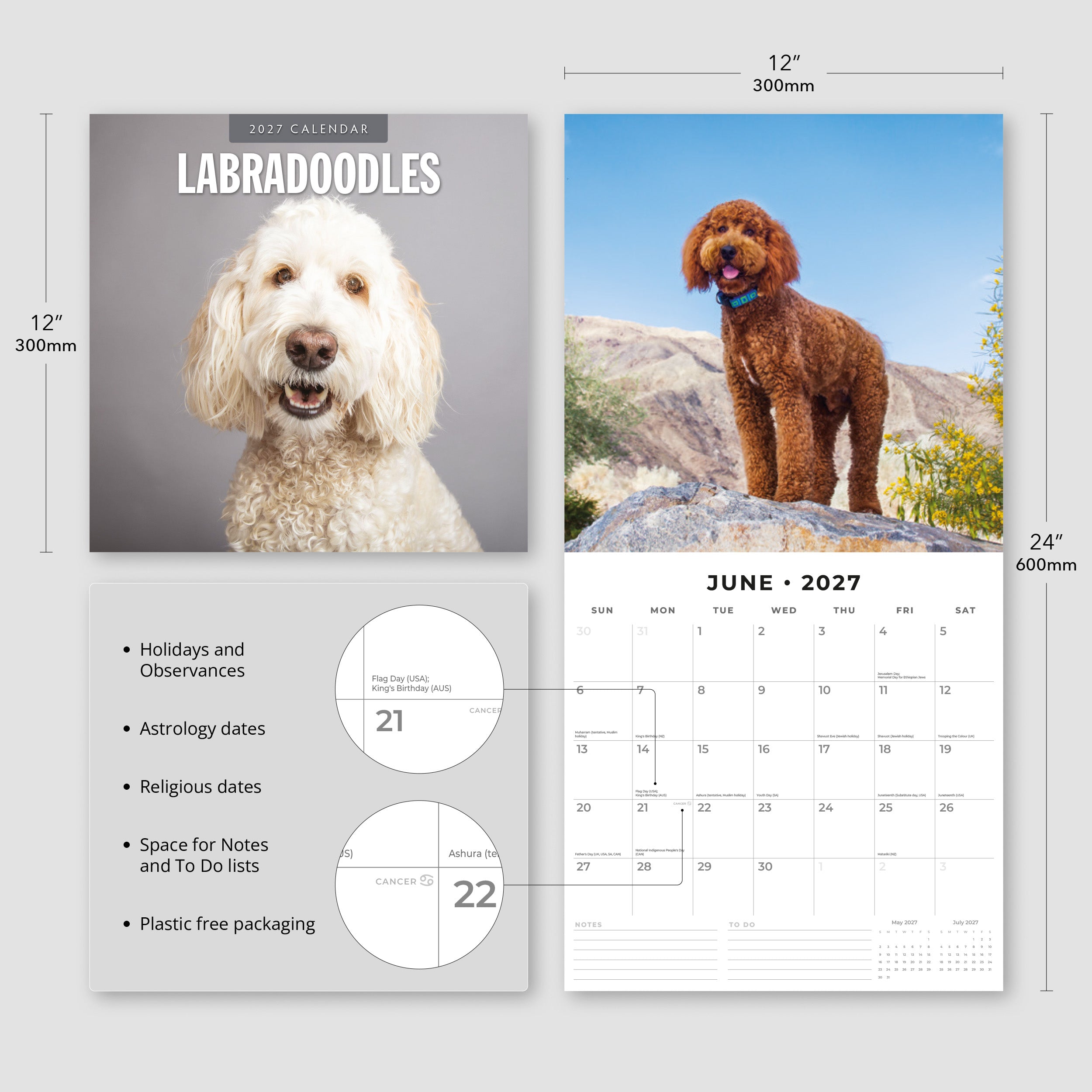 2027 Labradoodles - Square Wall Calendar