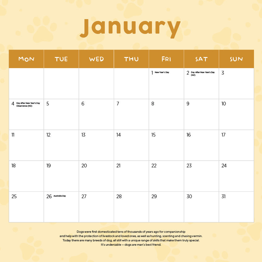 2027 Labradoodles - Square Wall Calendar