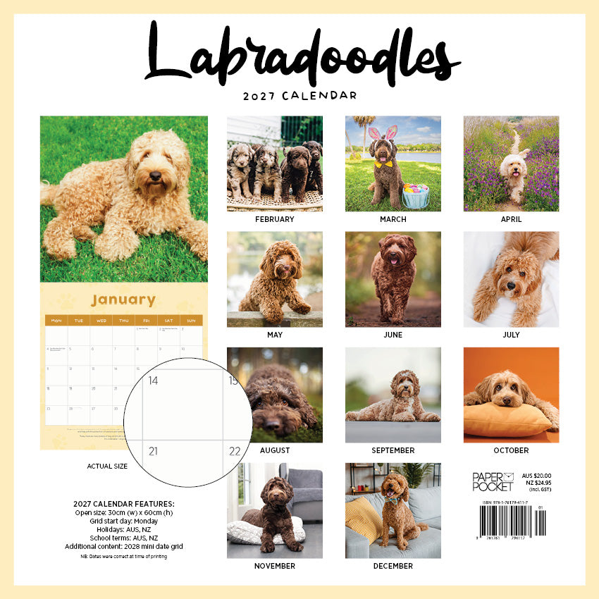 2027 Labradoodles - Square Wall Calendar