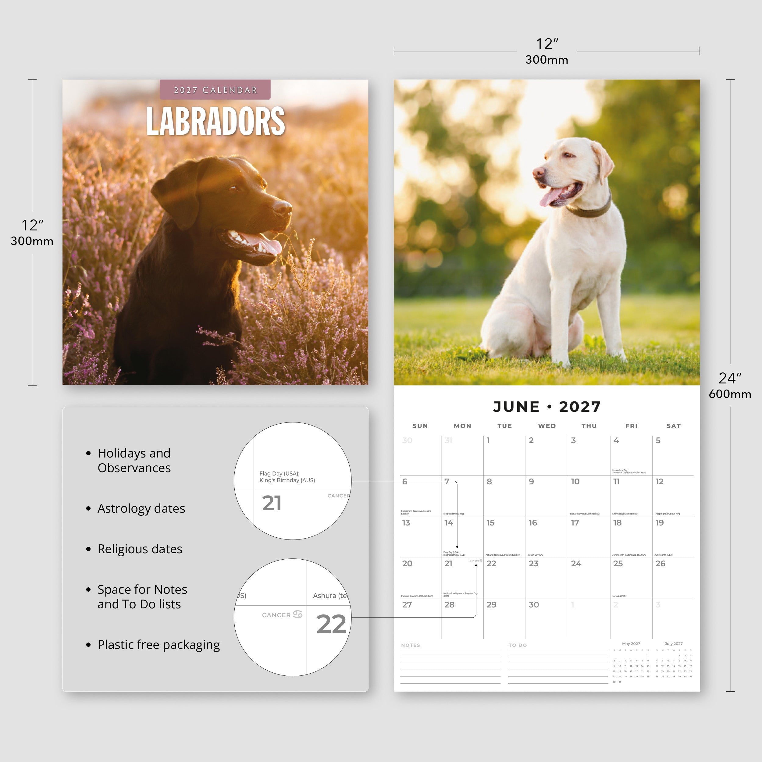 2027 Labradors - Square Wall Calendar