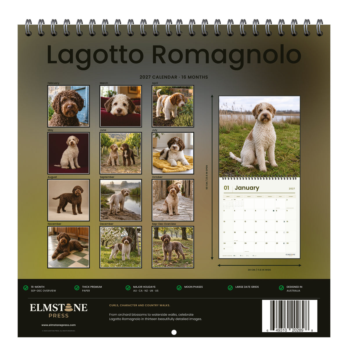 Lagotto_Romagnolo_-_649310202898_-_05-back-cover-white.jpg