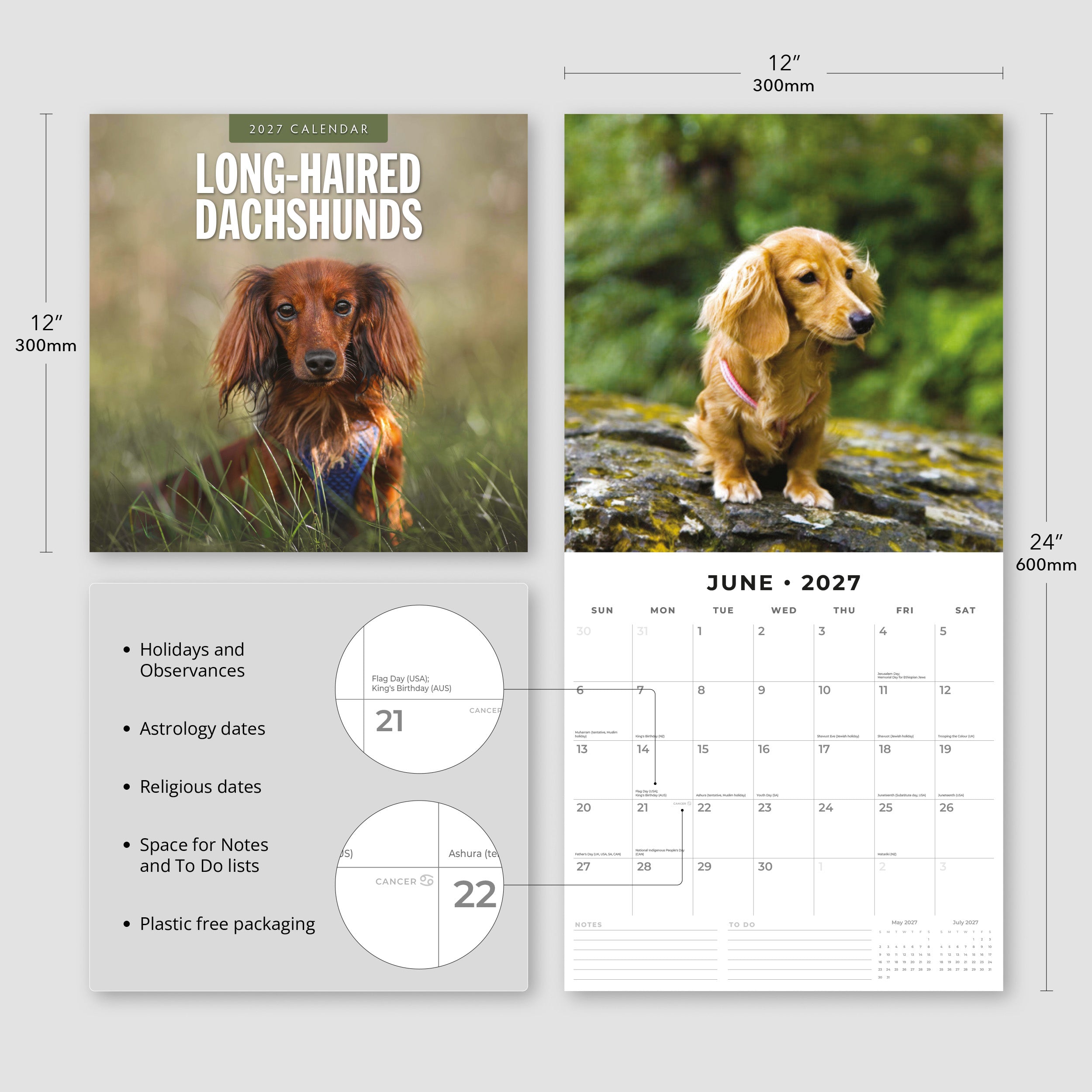 2027 Long-haired Dachshunds - Square Wall Calendar
