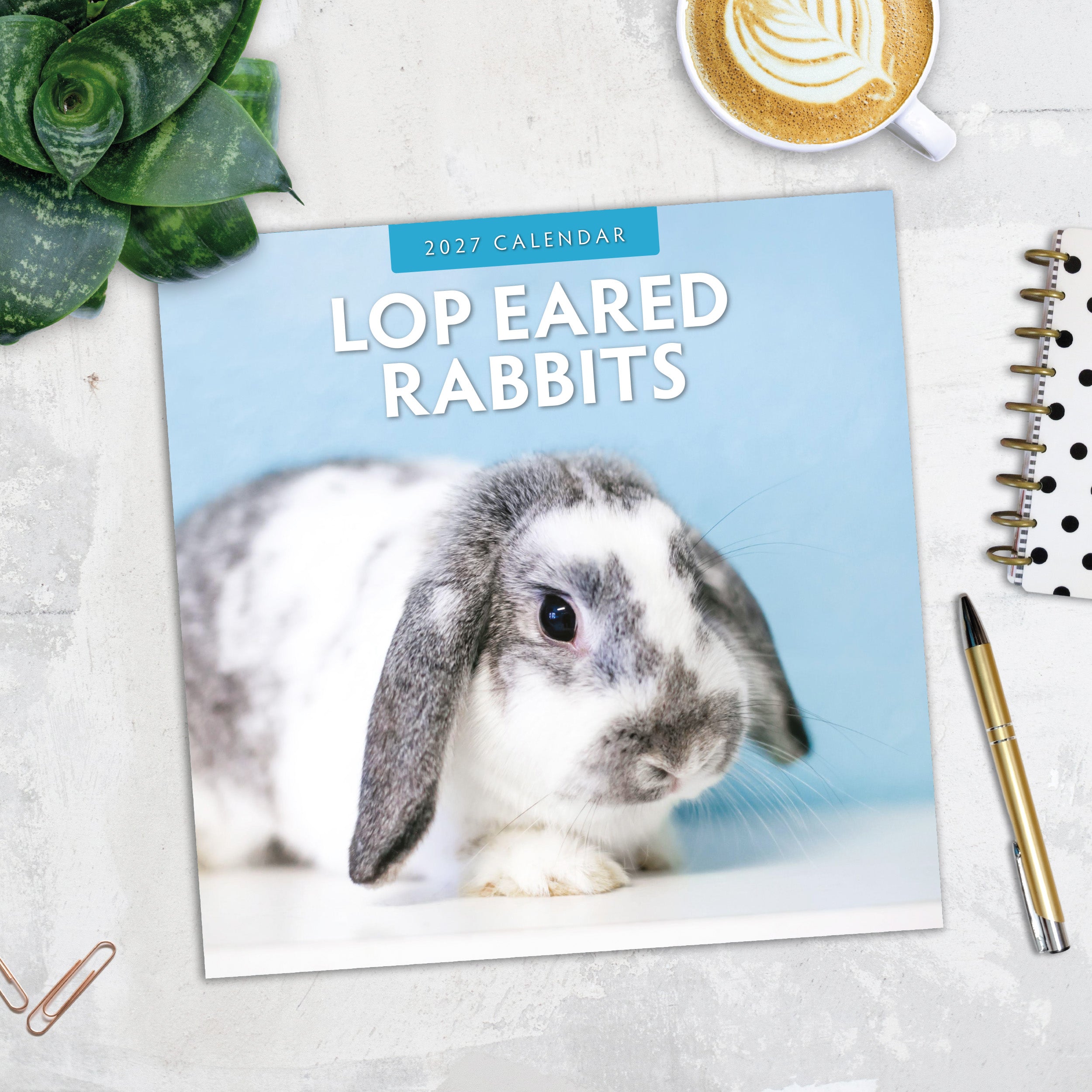 2027 Long Eared Rabbits - Square Wall Calendar