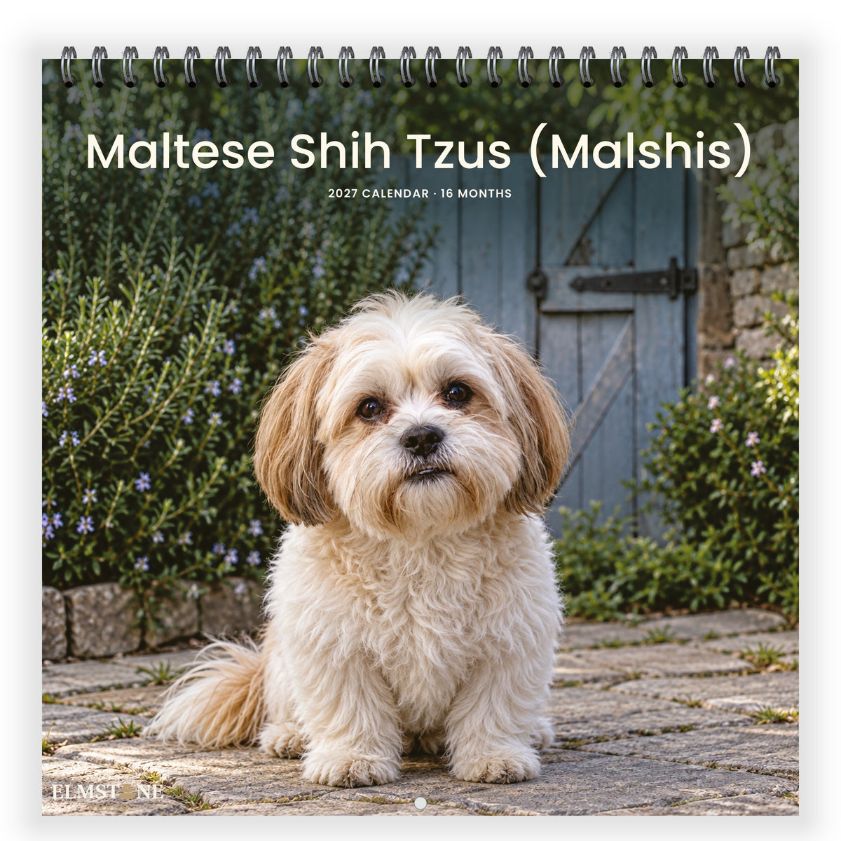 Maltese_Shih_Tzus__Malshis__-_649310203413_-_01-front-cover-white.jpg