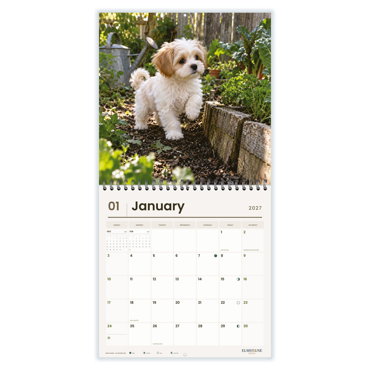 Maltese_Shih_Tzus__Malshis__-_649310203413_-_02-january-open-white.jpg