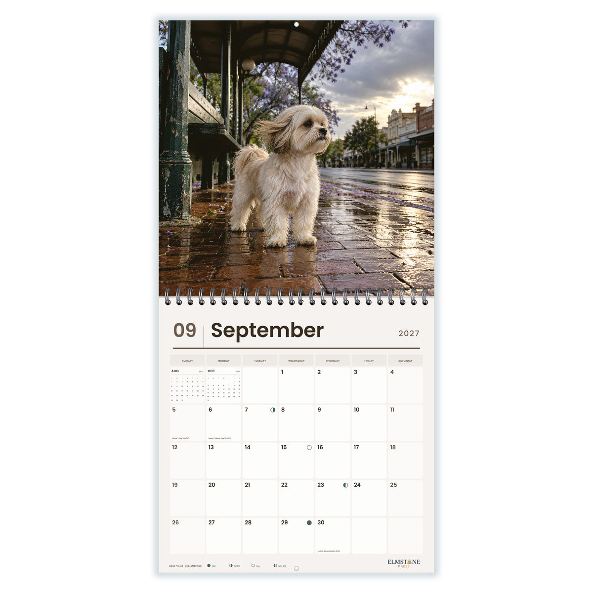 Maltese_Shih_Tzus__Malshis__-_649310203413_-_04-september-open-white.jpg