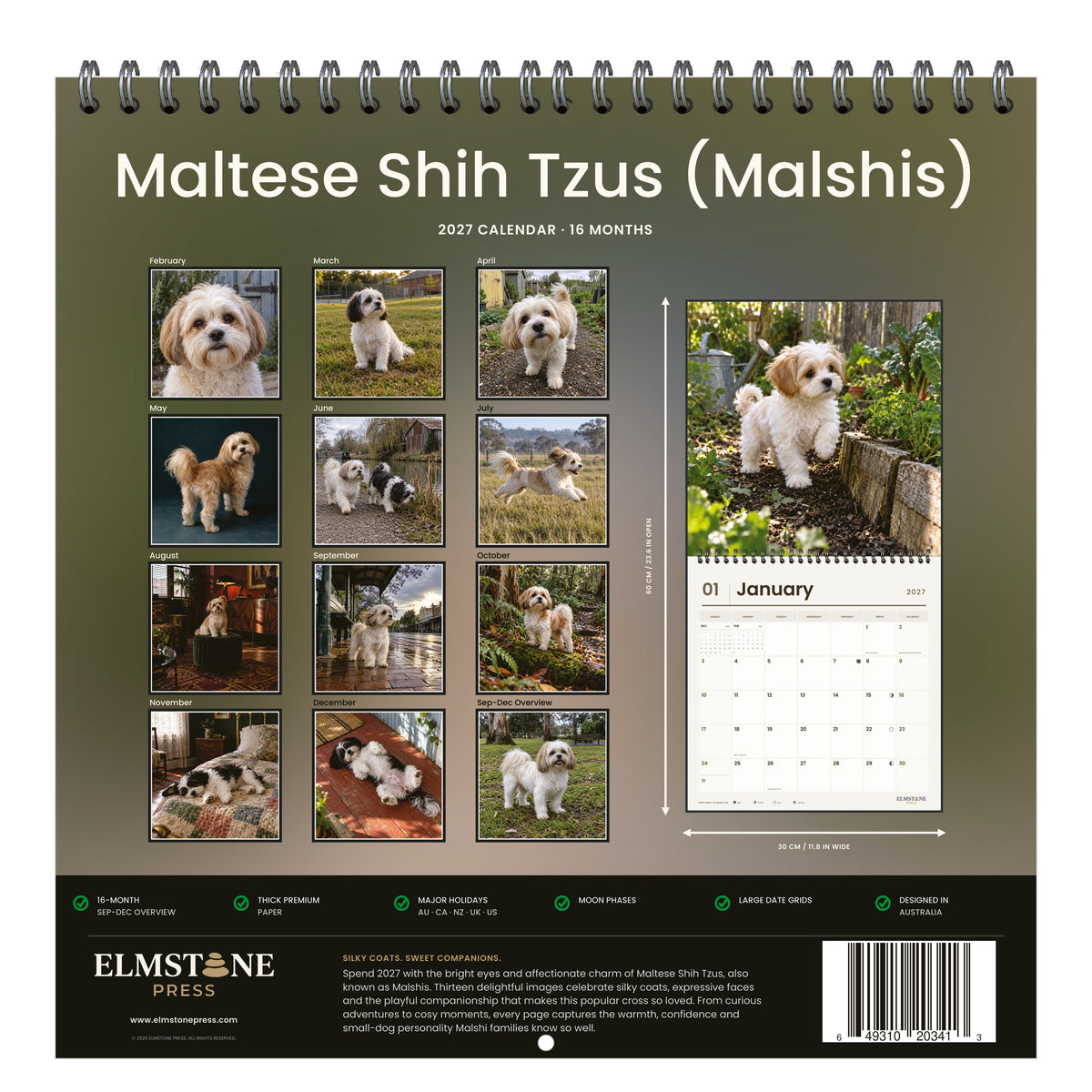Maltese_Shih_Tzus__Malshis__-_649310203413_-_05-back-cover-white.jpg