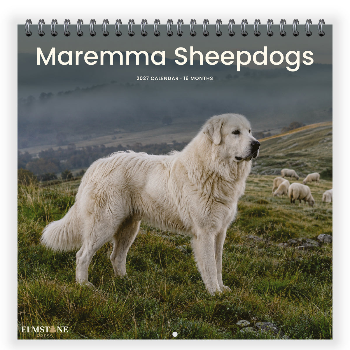 Maremma_Sheepdogs_-_649310202904_-_01-front-cover-white.jpg