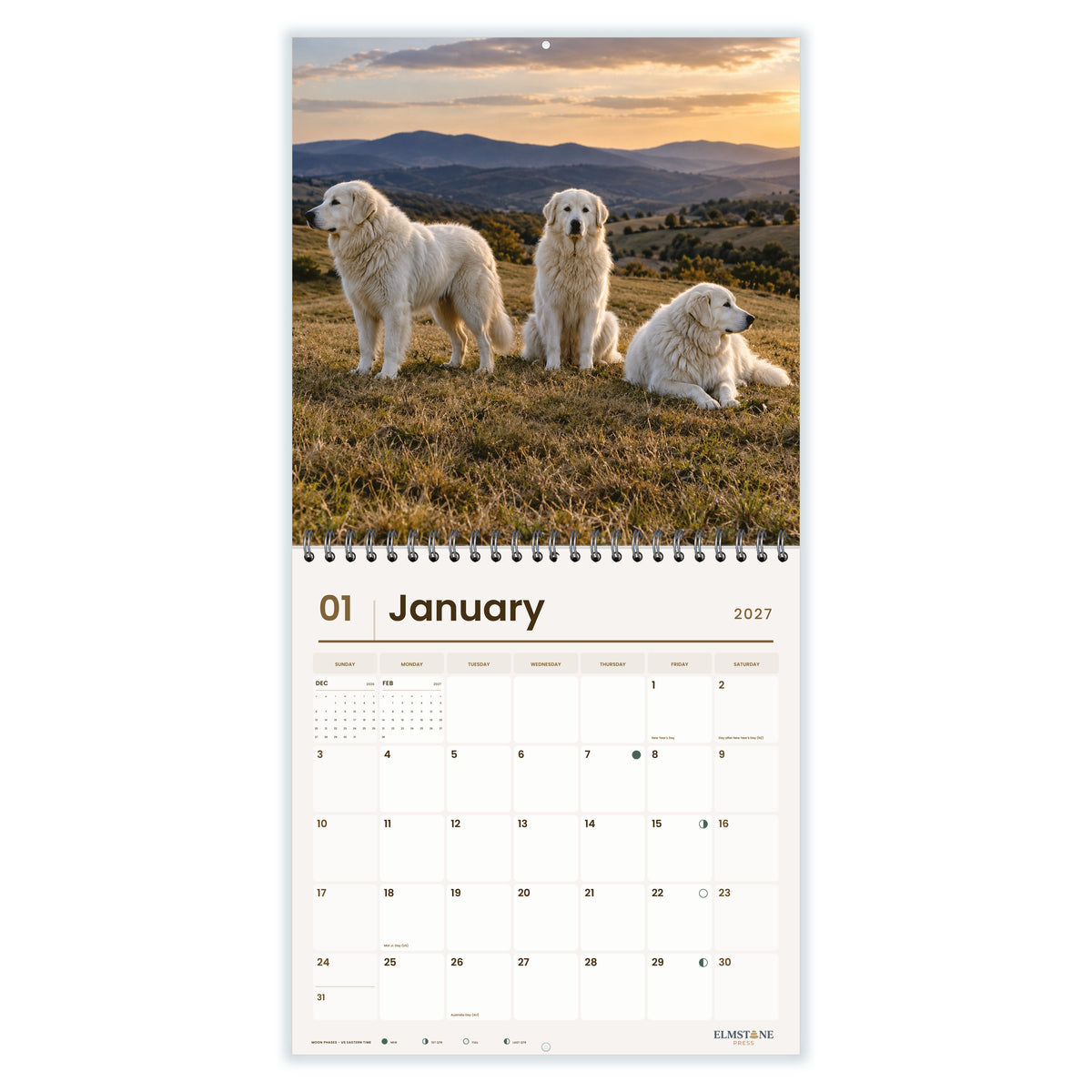 Maremma_Sheepdogs_-_649310202904_-_02-january-open-white.jpg