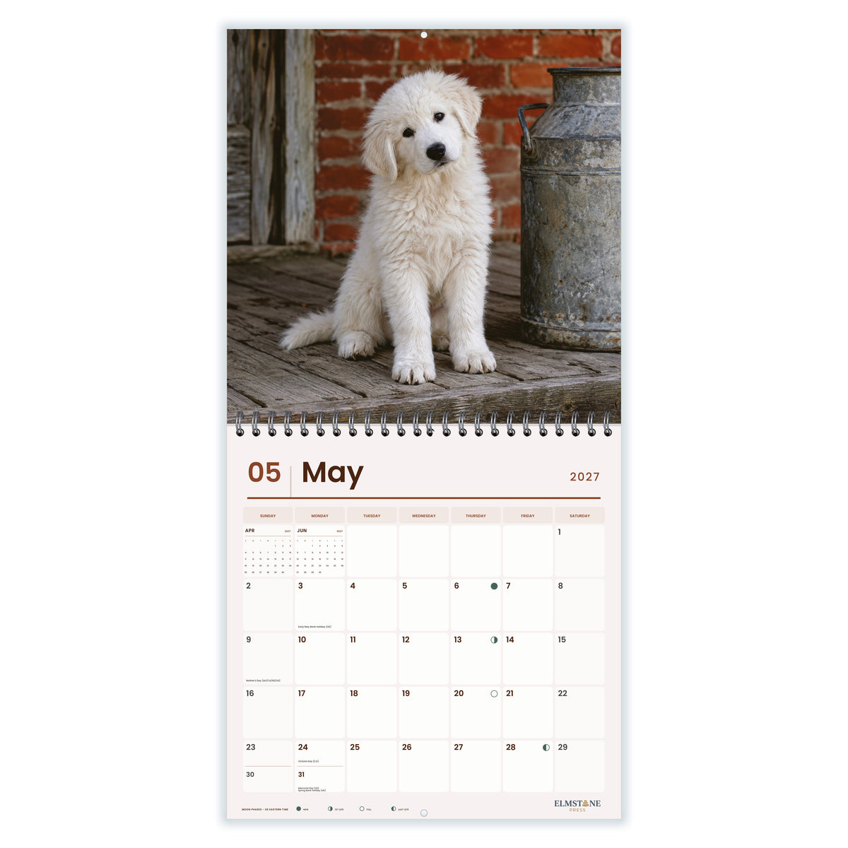 Maremma_Sheepdogs_-_649310202904_-_03-may-open-white.jpg