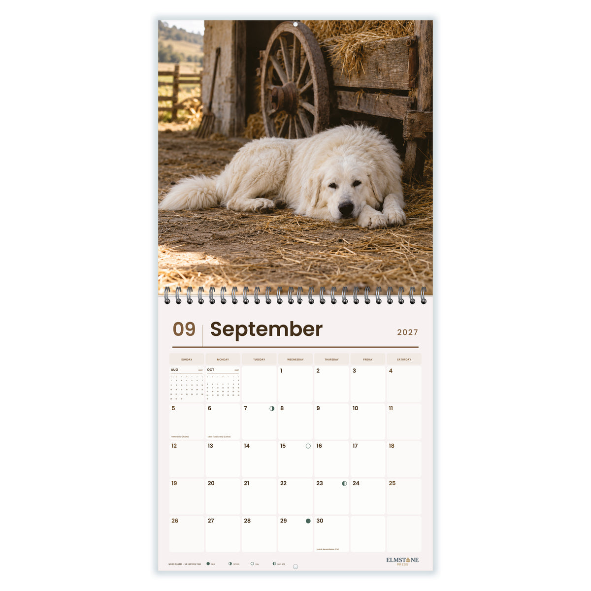 Maremma_Sheepdogs_-_649310202904_-_04-september-open-white.jpg