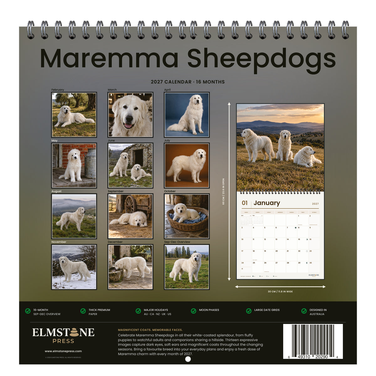 Maremma_Sheepdogs_-_649310202904_-_05-back-cover-white.jpg