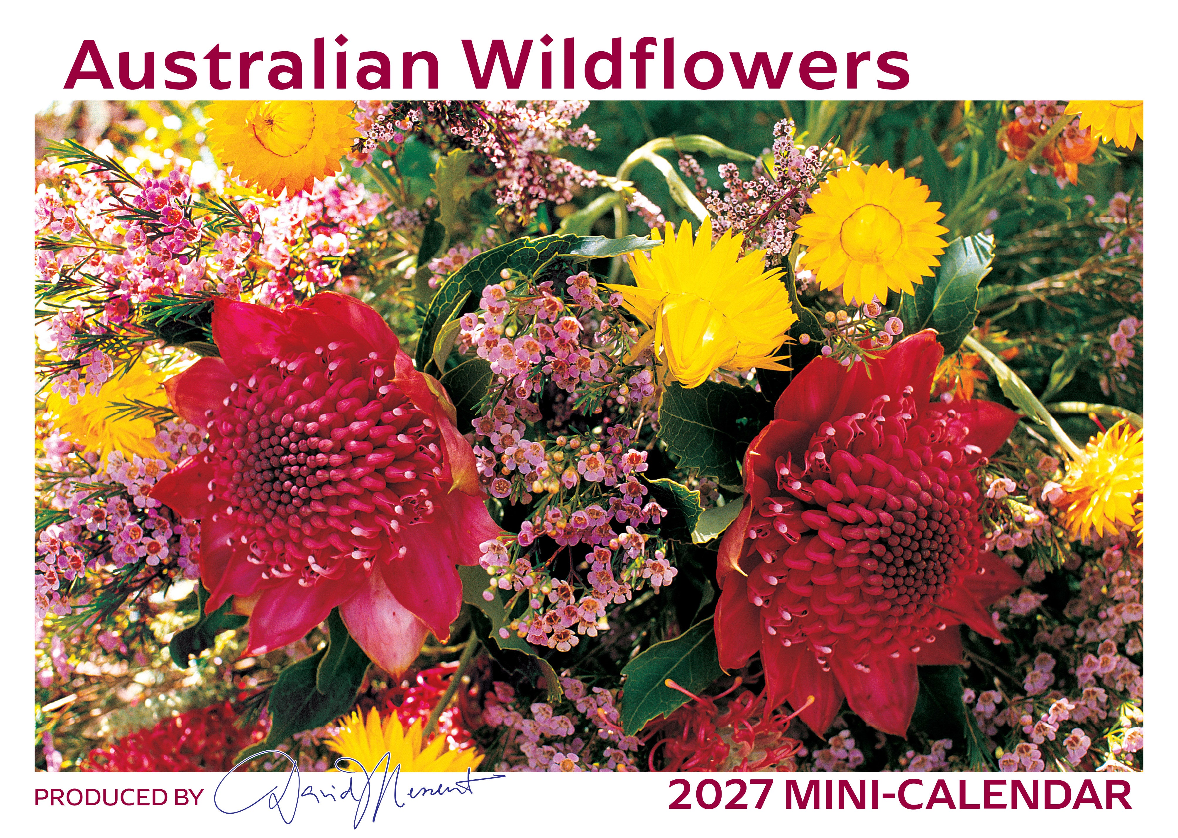 Mini_Wildflowers_Front_9318306370279.jpg