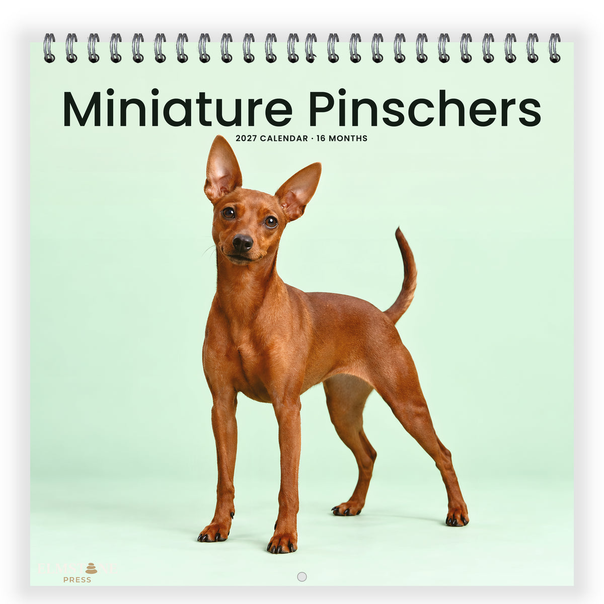 Miniature_Pinschers_-_649310203123_-_01-front-cover-white.jpg
