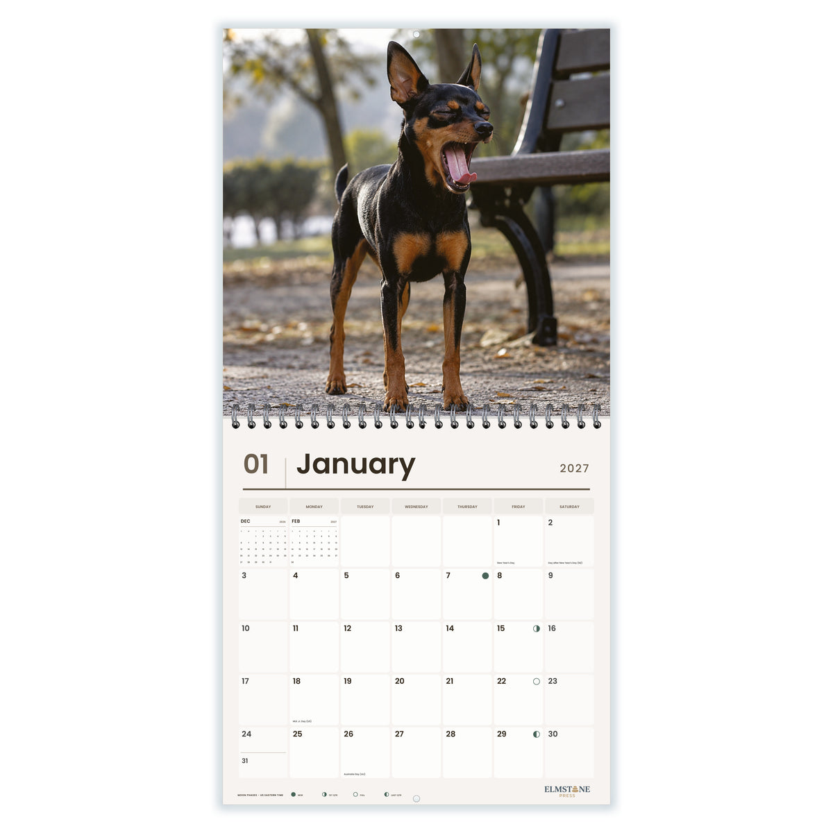 Miniature_Pinschers_-_649310203123_-_02-january-open-white.jpg
