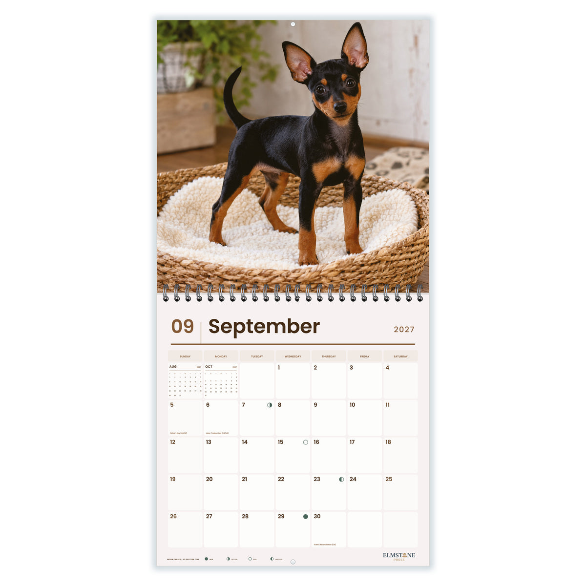Miniature_Pinschers_-_649310203123_-_04-september-open-white.jpg
