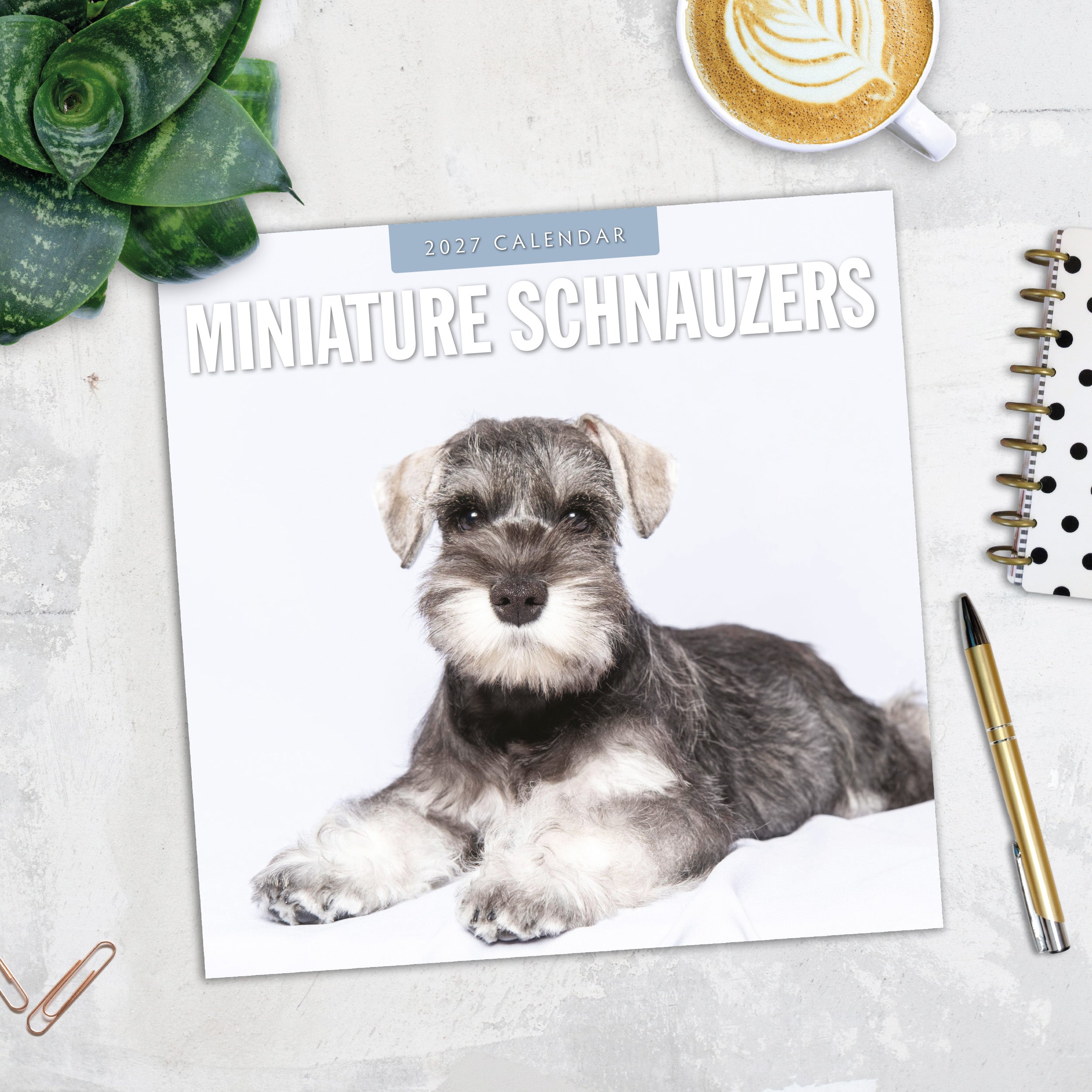2027 Miniature Schnauzer - Square Wall Calendar