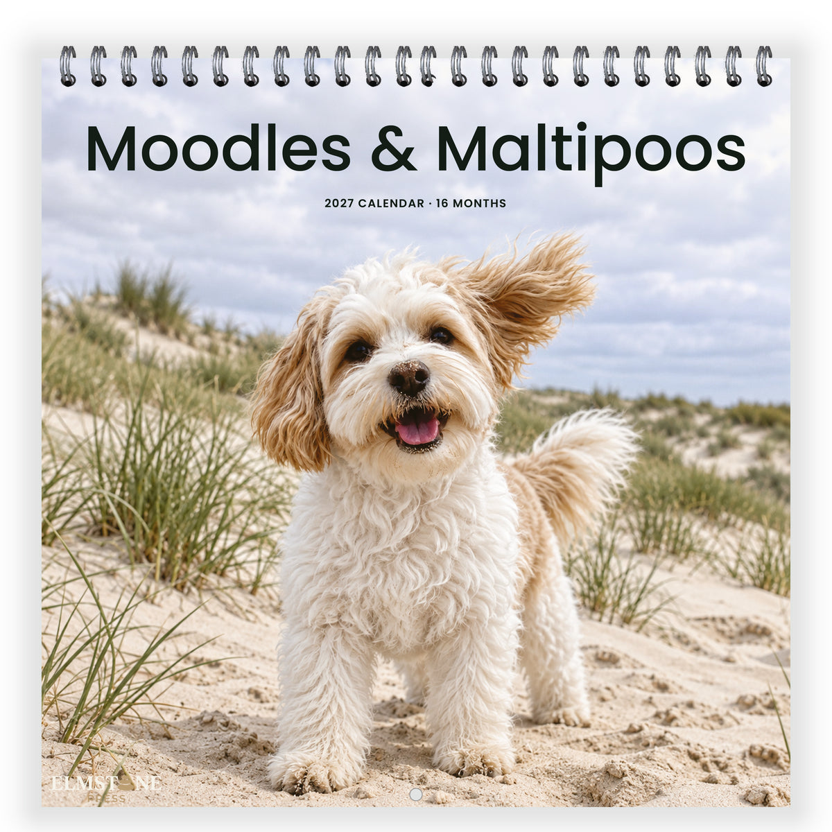 Moodles___Maltipoos_-_649310203420_-_01-front-cover-white.jpg