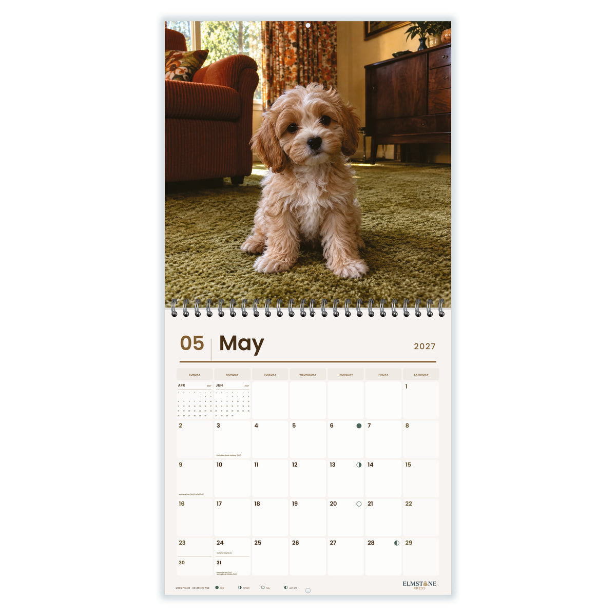 Moodles___Maltipoos_-_649310203420_-_03-may-open-white.jpg