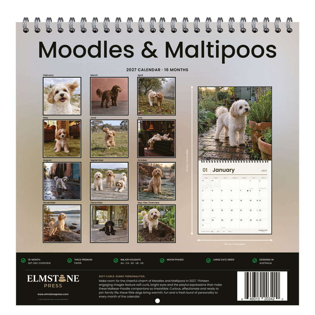 Moodles___Maltipoos_-_649310203420_-_05-back-cover-white.jpg