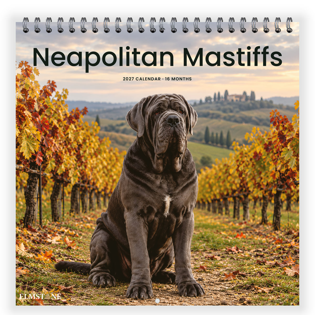Neapolitan_Mastiffs_-_649310203130_-_01-front-cover-white.jpg