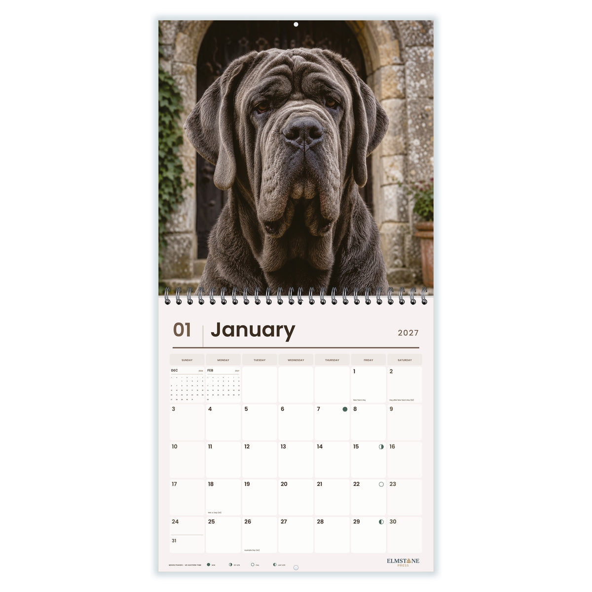 Neapolitan_Mastiffs_-_649310203130_-_02-january-open-white.jpg