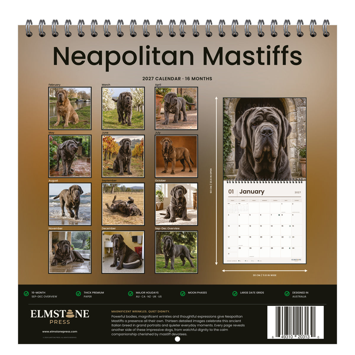 Neapolitan_Mastiffs_-_649310203130_-_05-back-cover-white.jpg