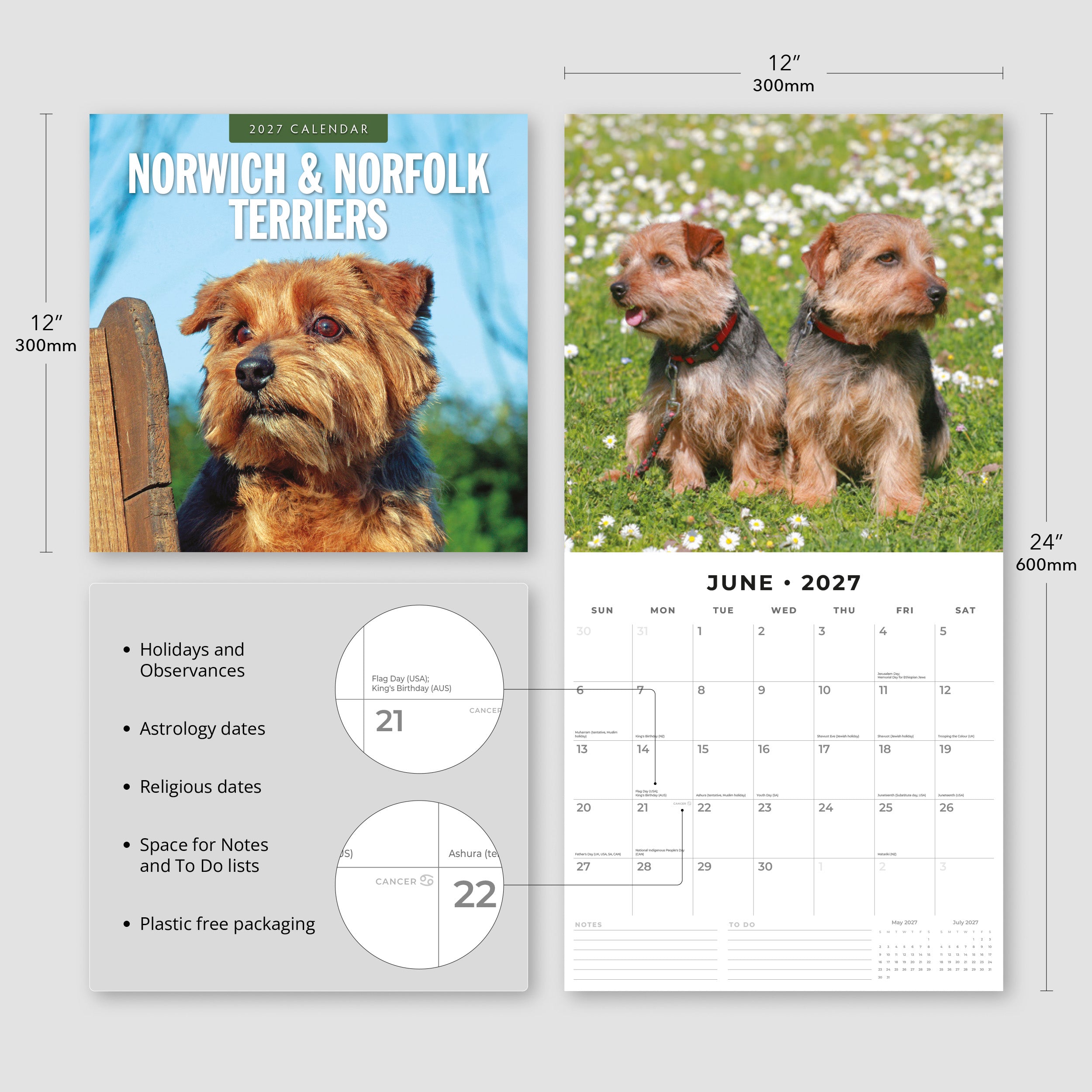 2027 Norwich & Norfolk Terriers - Square Wall Calendar