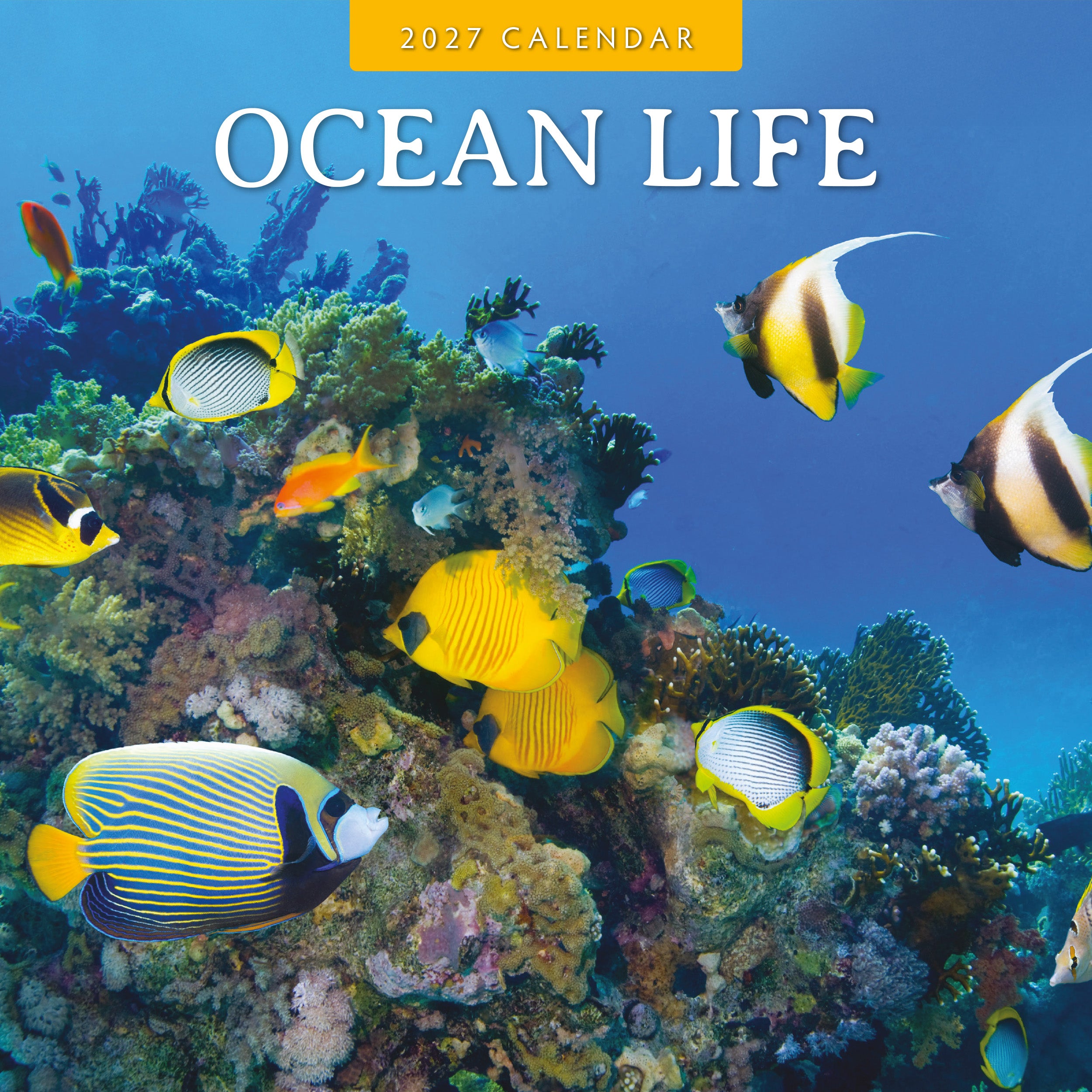 2027 Ocean Life - Square Wall Calendar