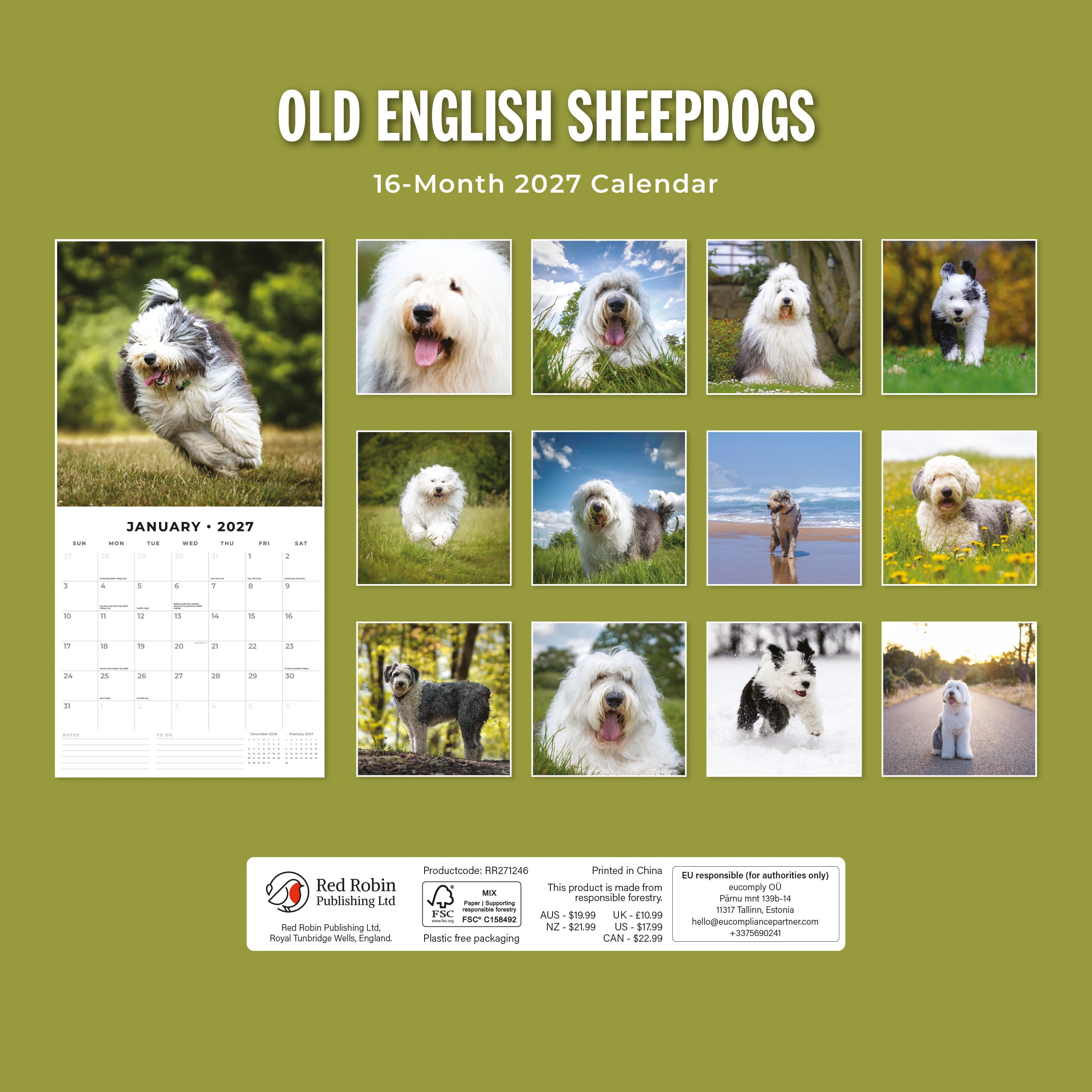 2027 Old English Sheepdogs - Square Wall Calendar
