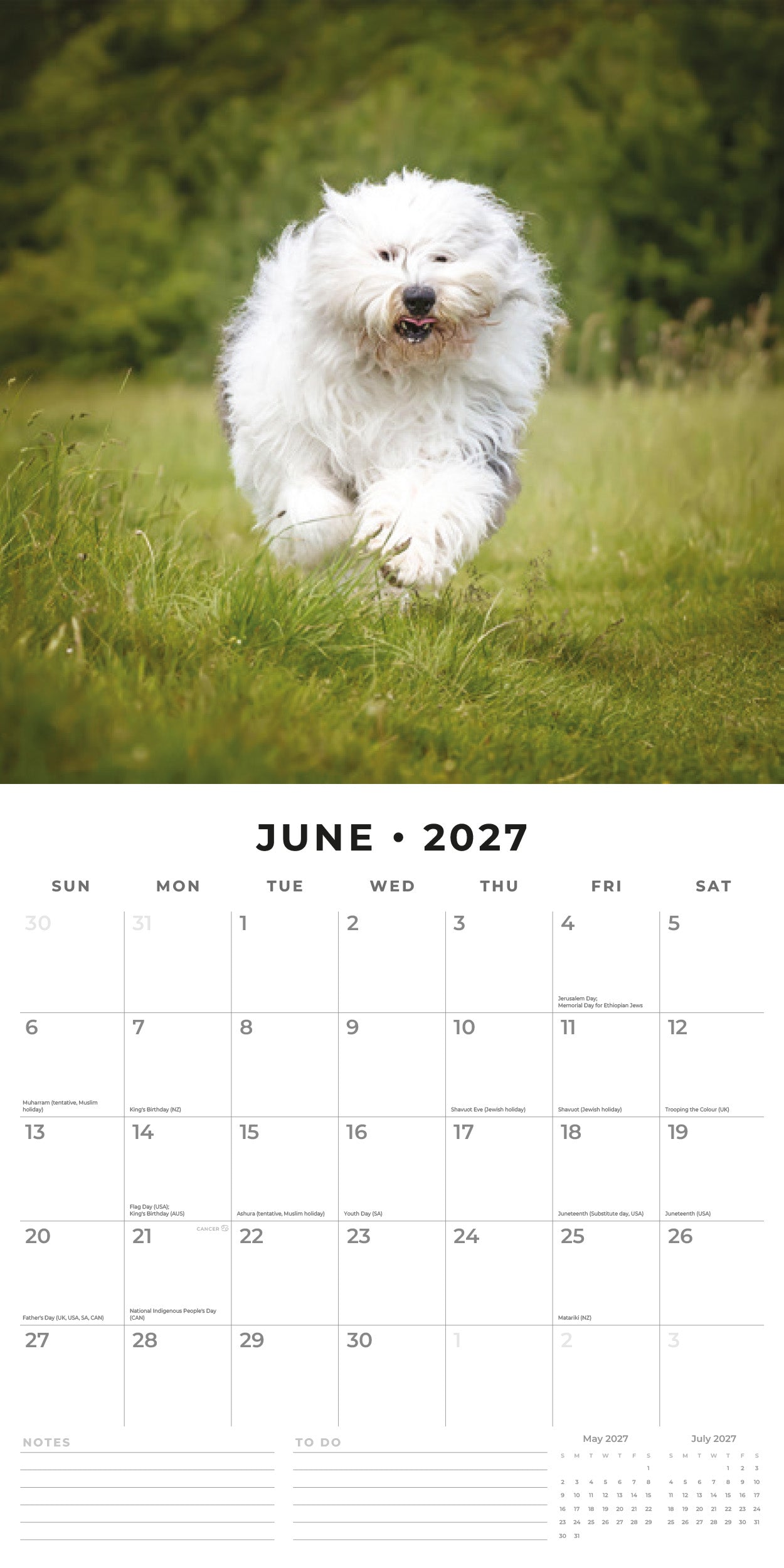 2027 Old English Sheepdogs - Square Wall Calendar