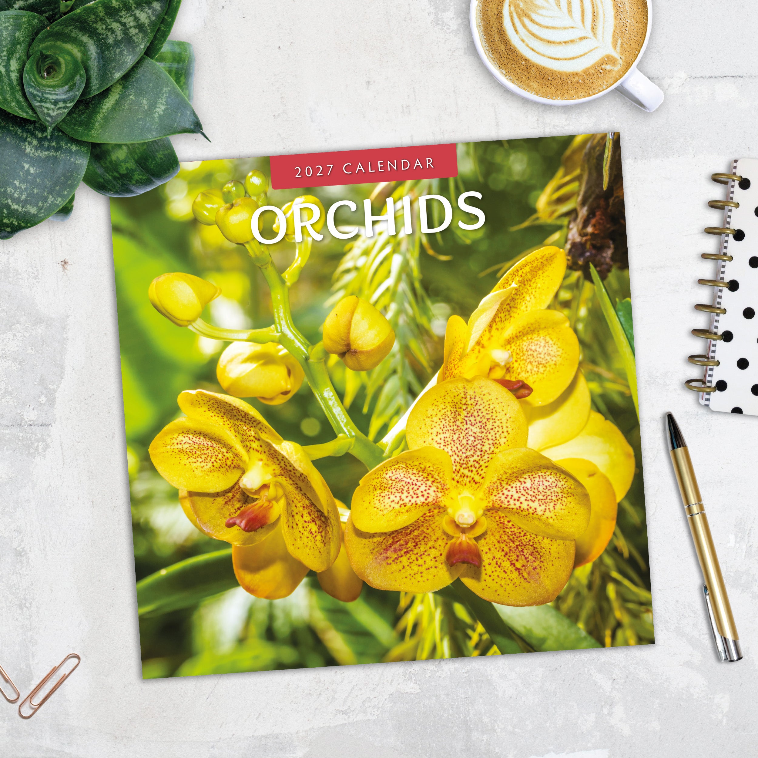 2027 Orchids - Square Wall Calendar