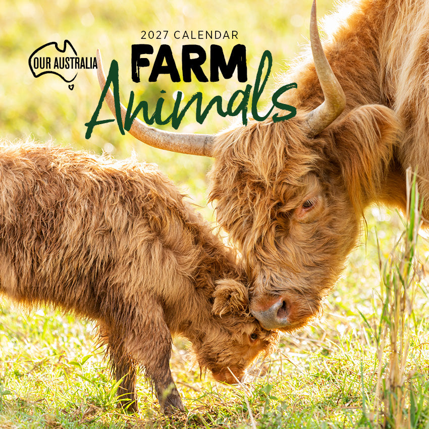 2027 Our Australia Farm Animals - Square Wall Calendar