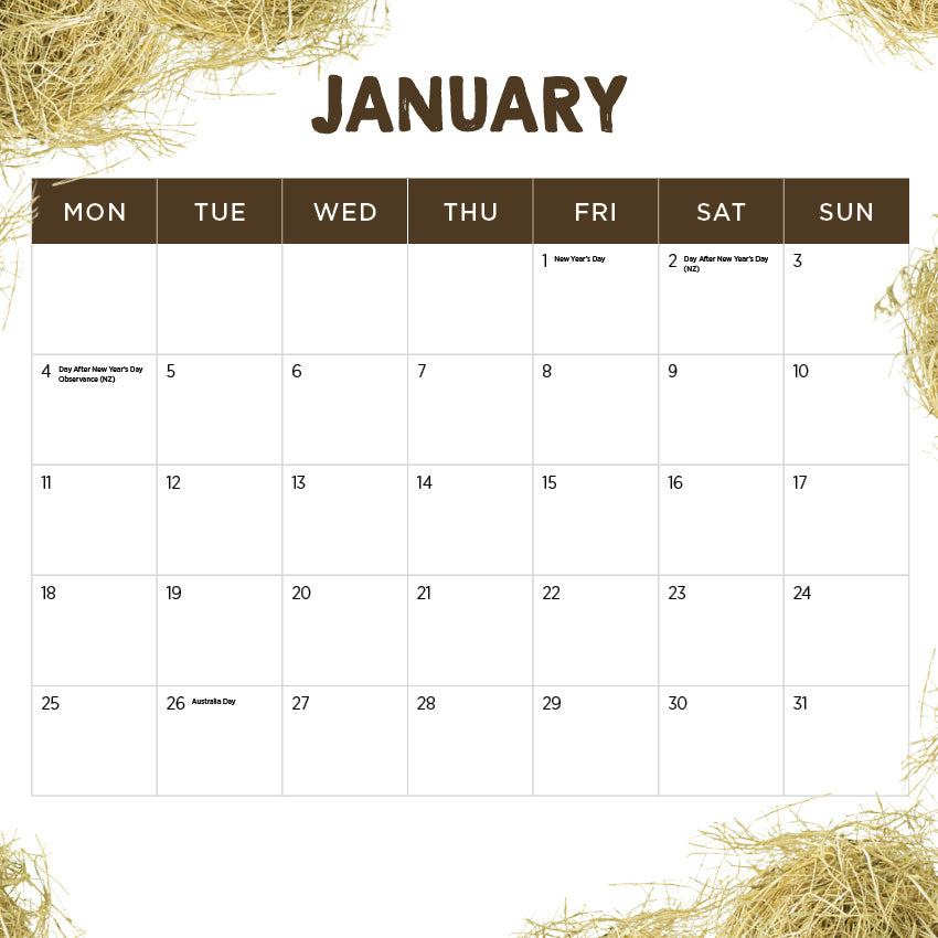 2027 Our Australia Farm Animals - Square Wall Calendar