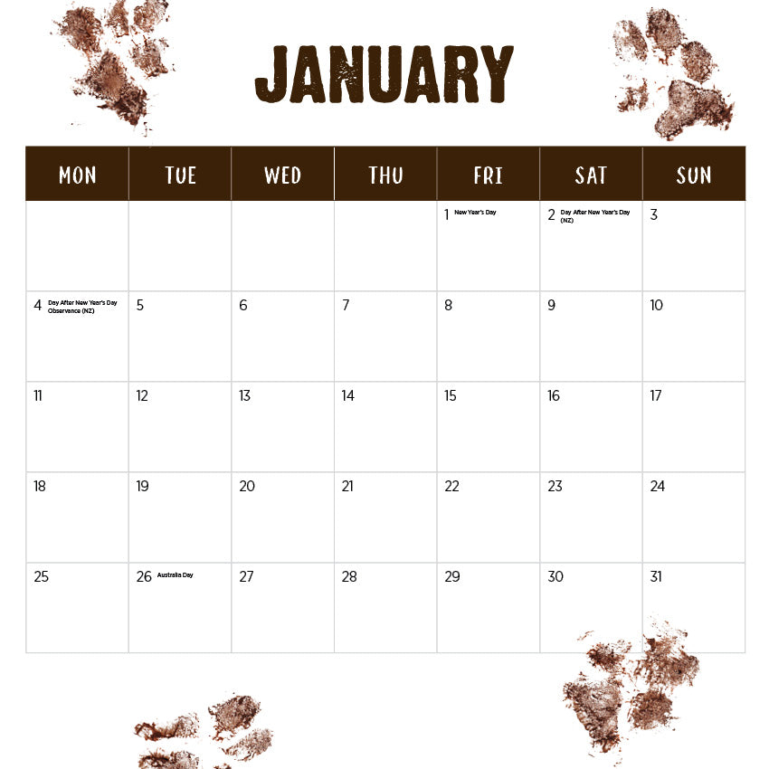 2027 Our Australia Working Dogs - Square Wall Calendar