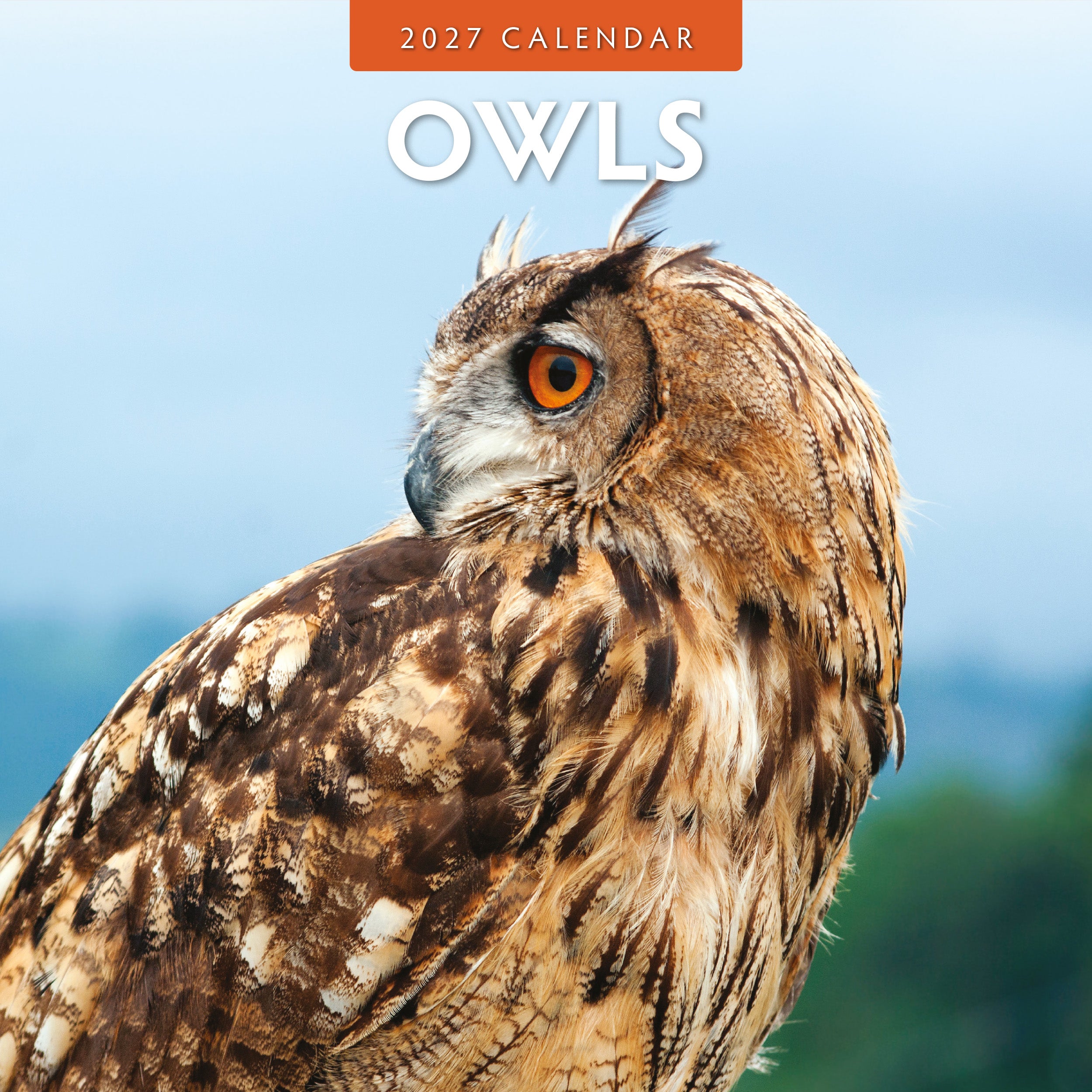 2027 Owls - Square Wall Calendar