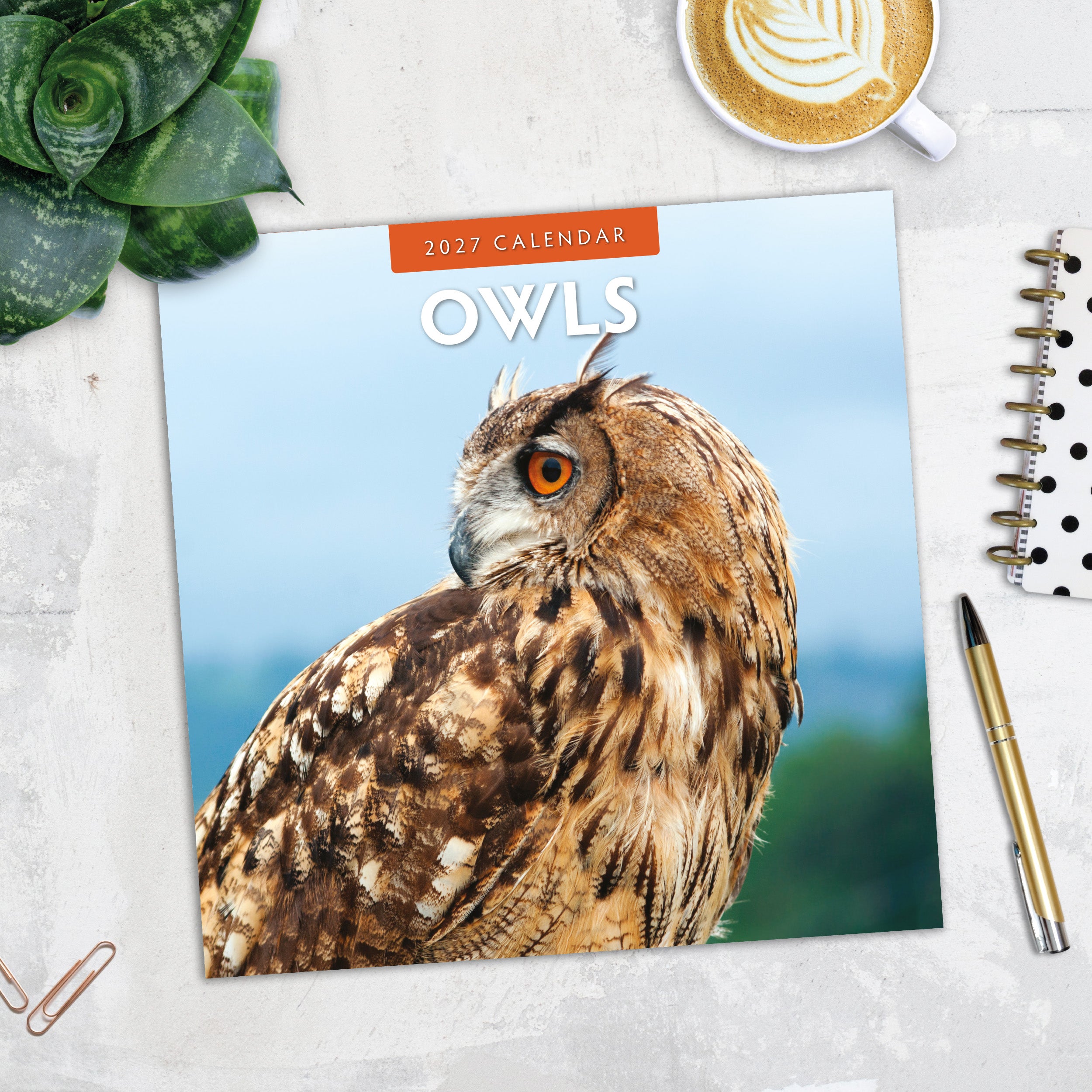 2027 Owls - Square Wall Calendar