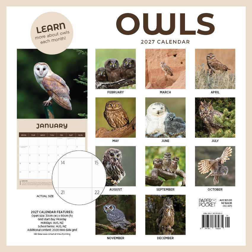 2027 Owls - Square Wall Calendar