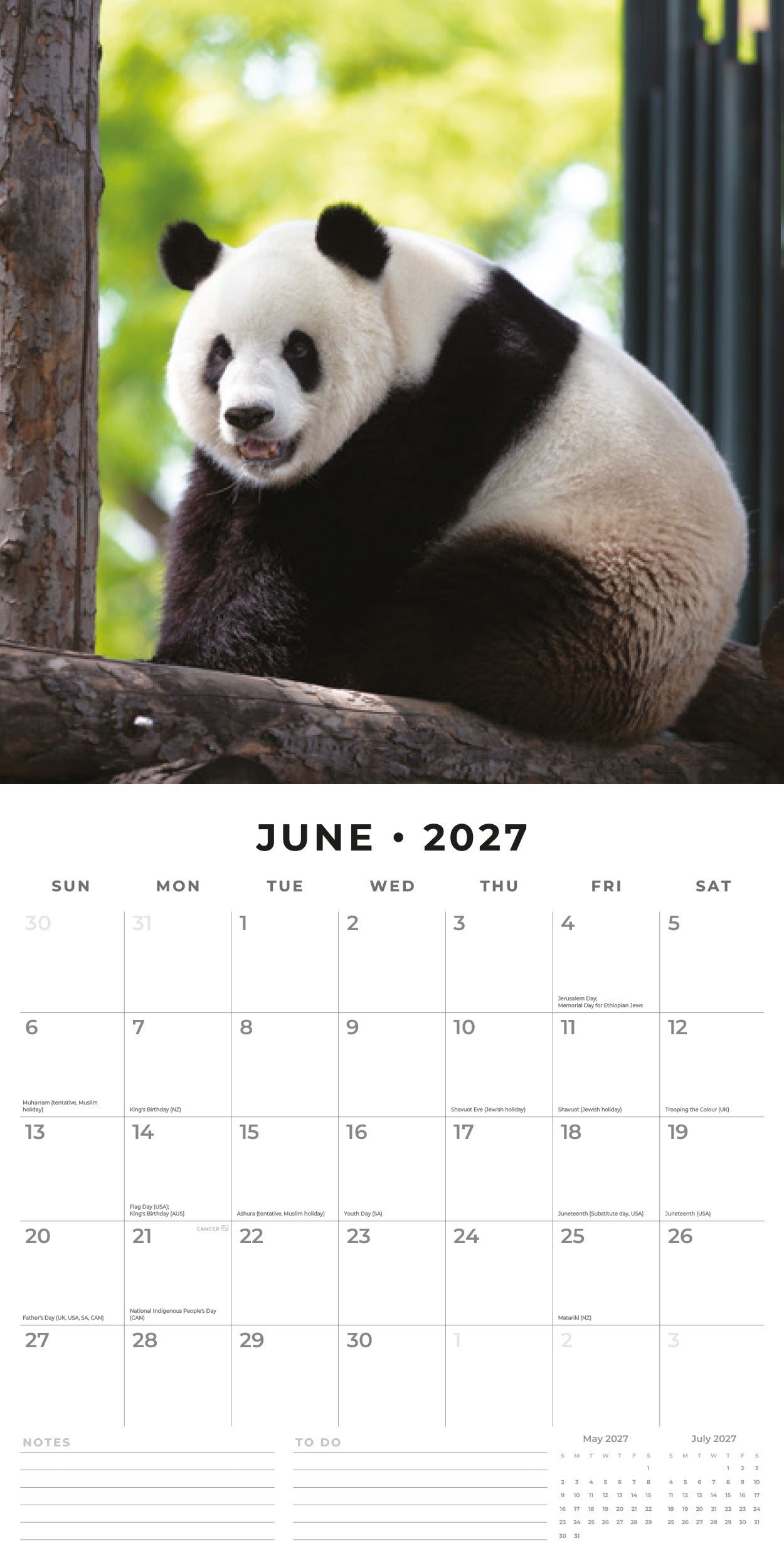2027 Pandas - Square Wall Calendar
