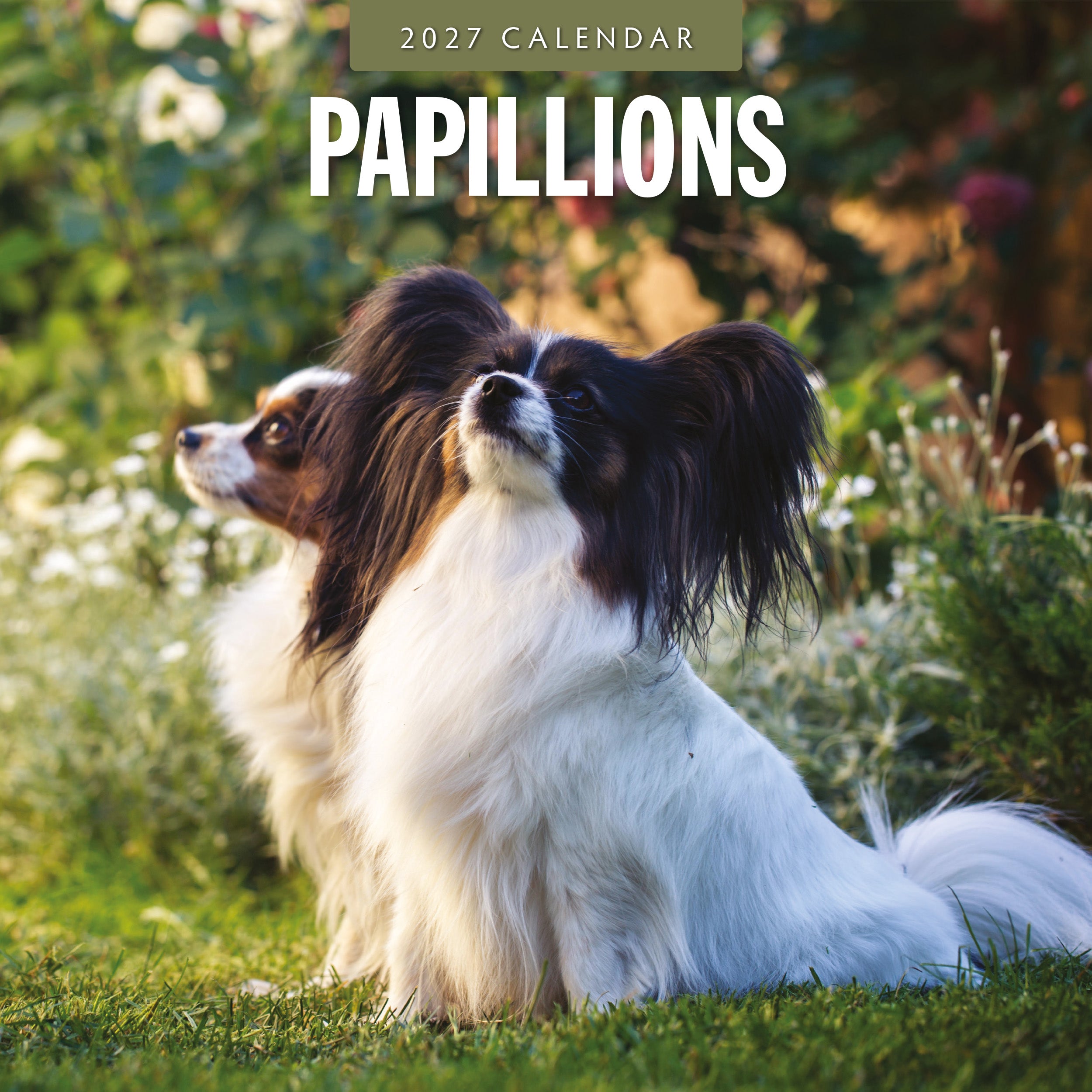 2027 Papillions - Square Wall Calendar