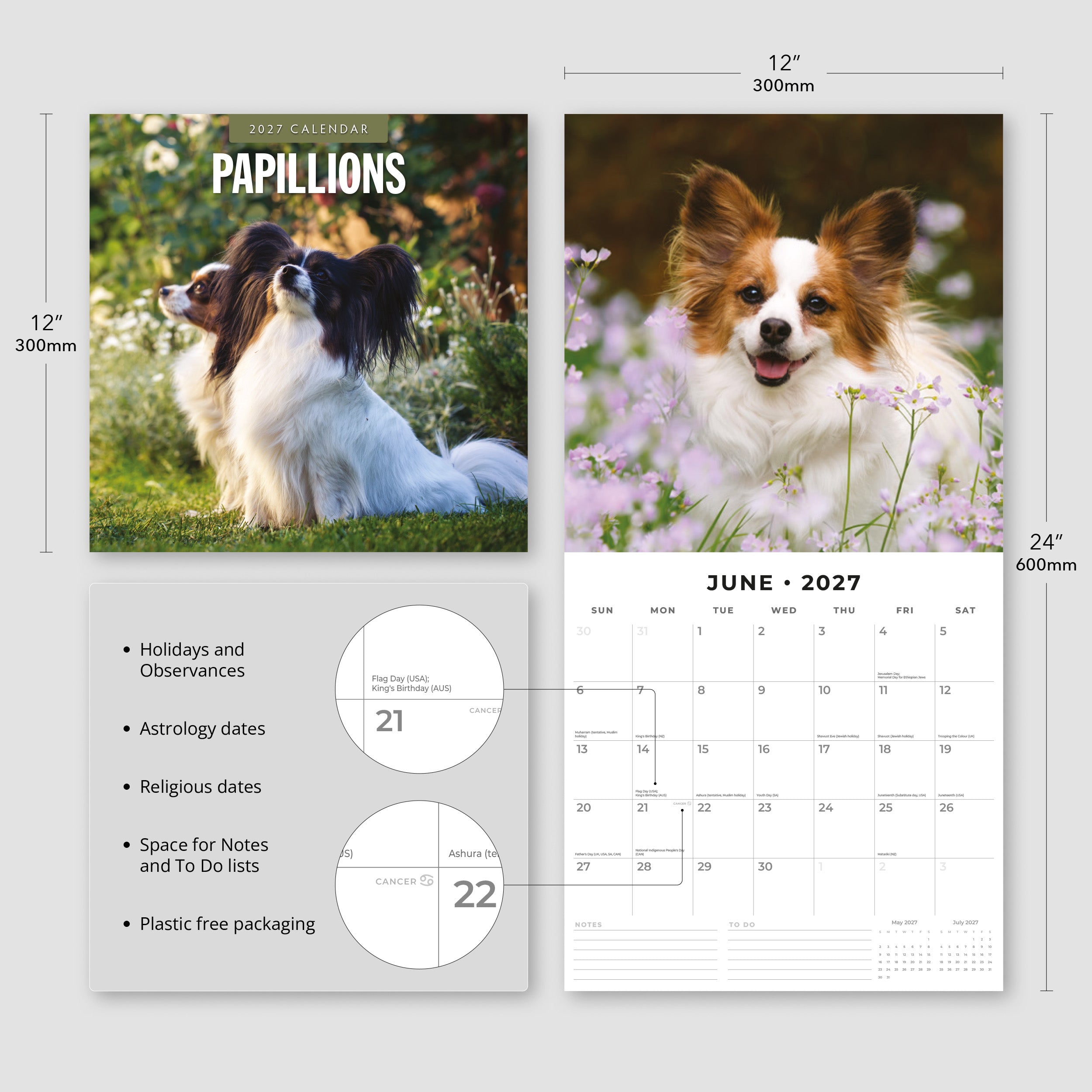2027 Papillions - Square Wall Calendar