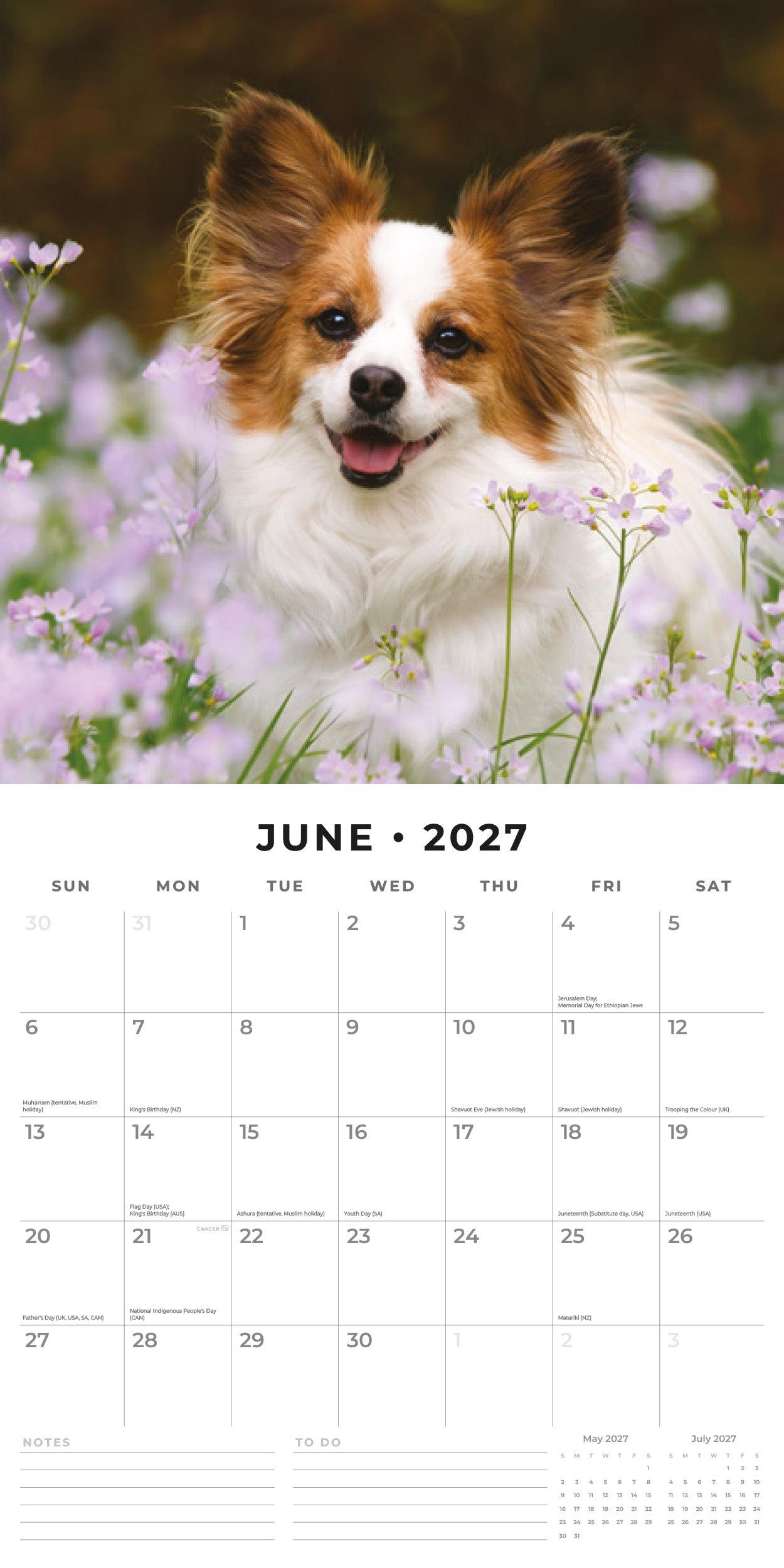 2027 Papillions - Square Wall Calendar
