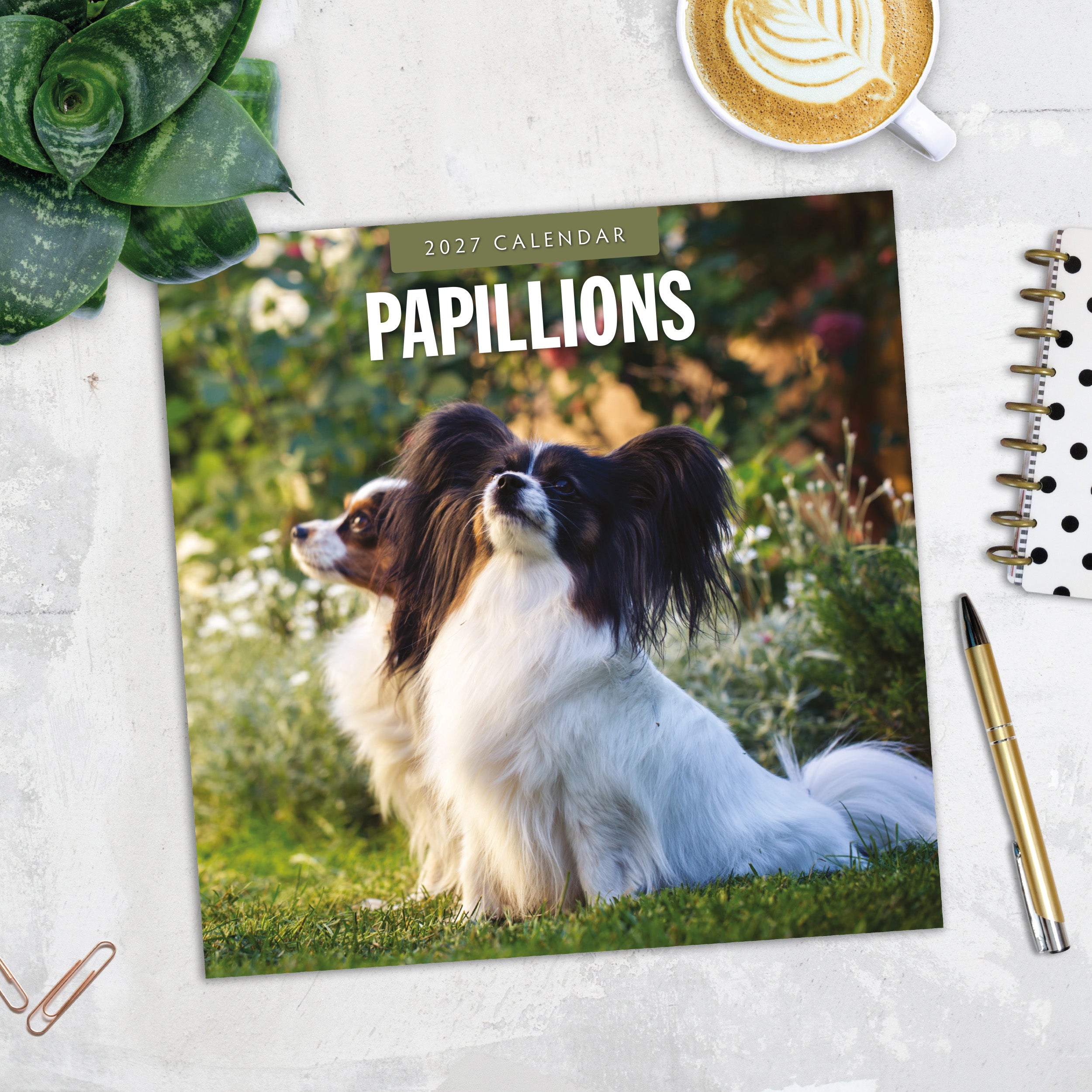 2027 Papillions - Square Wall Calendar